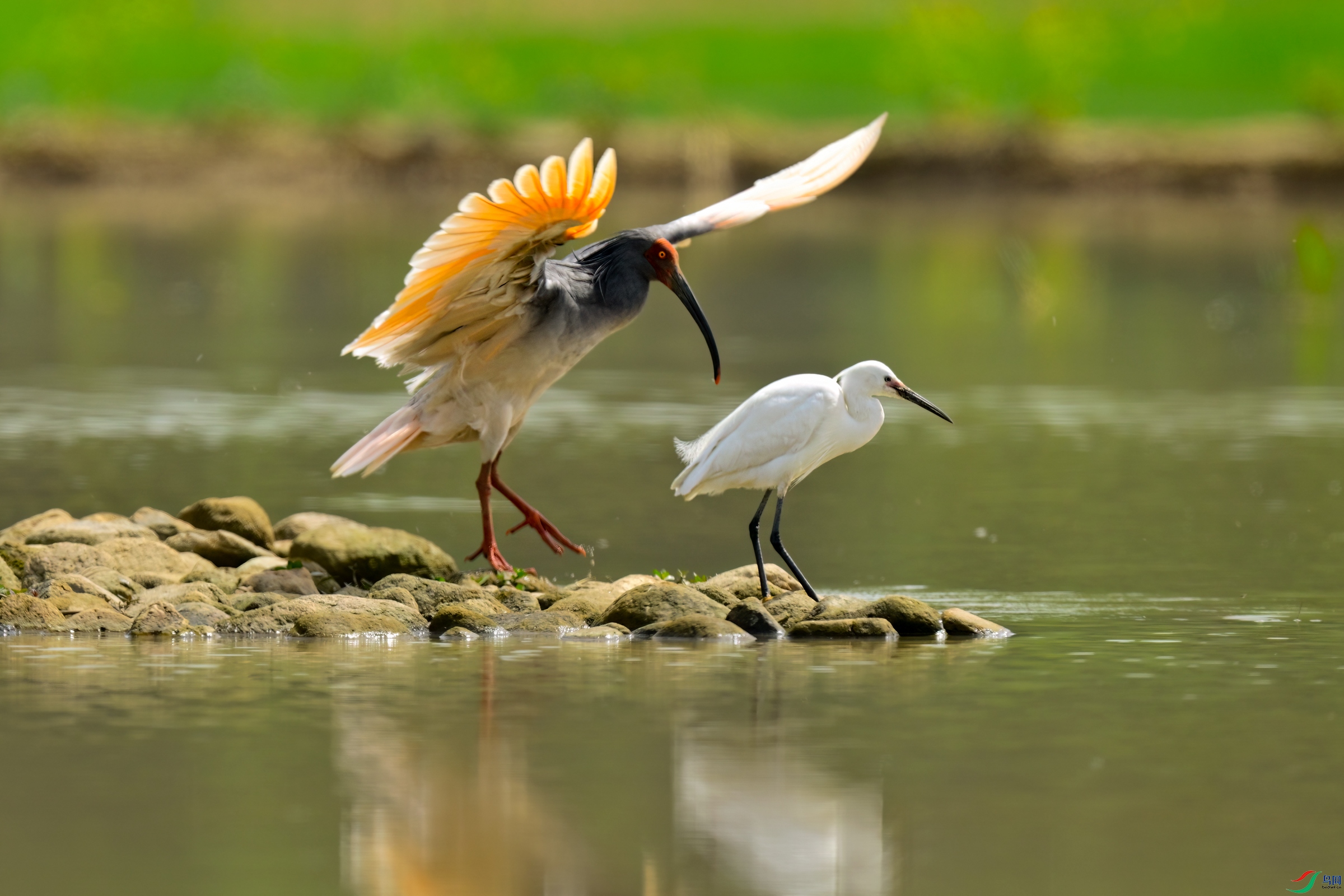 _DSC6663x.jpg