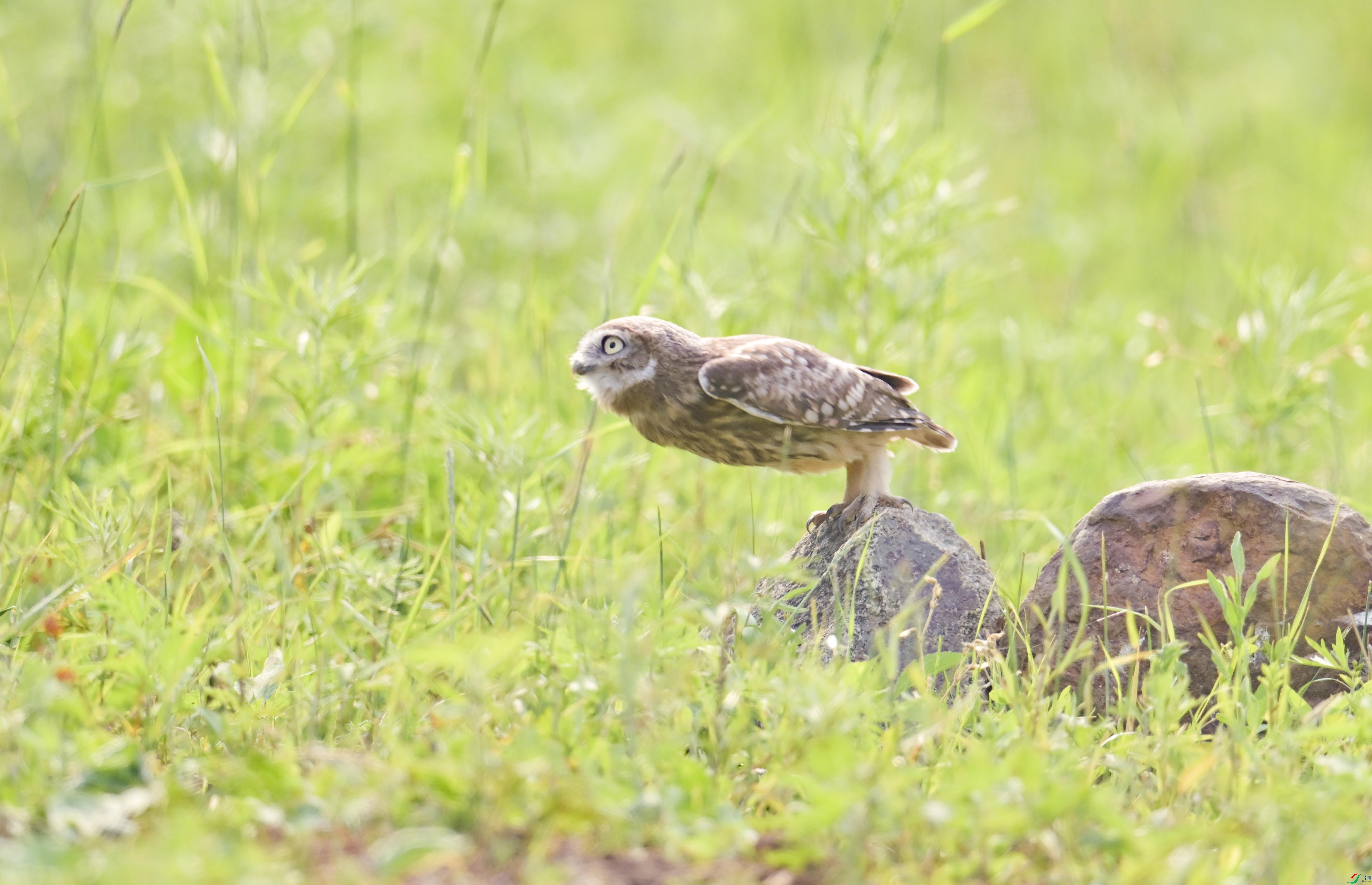 DSC_8405.jpg