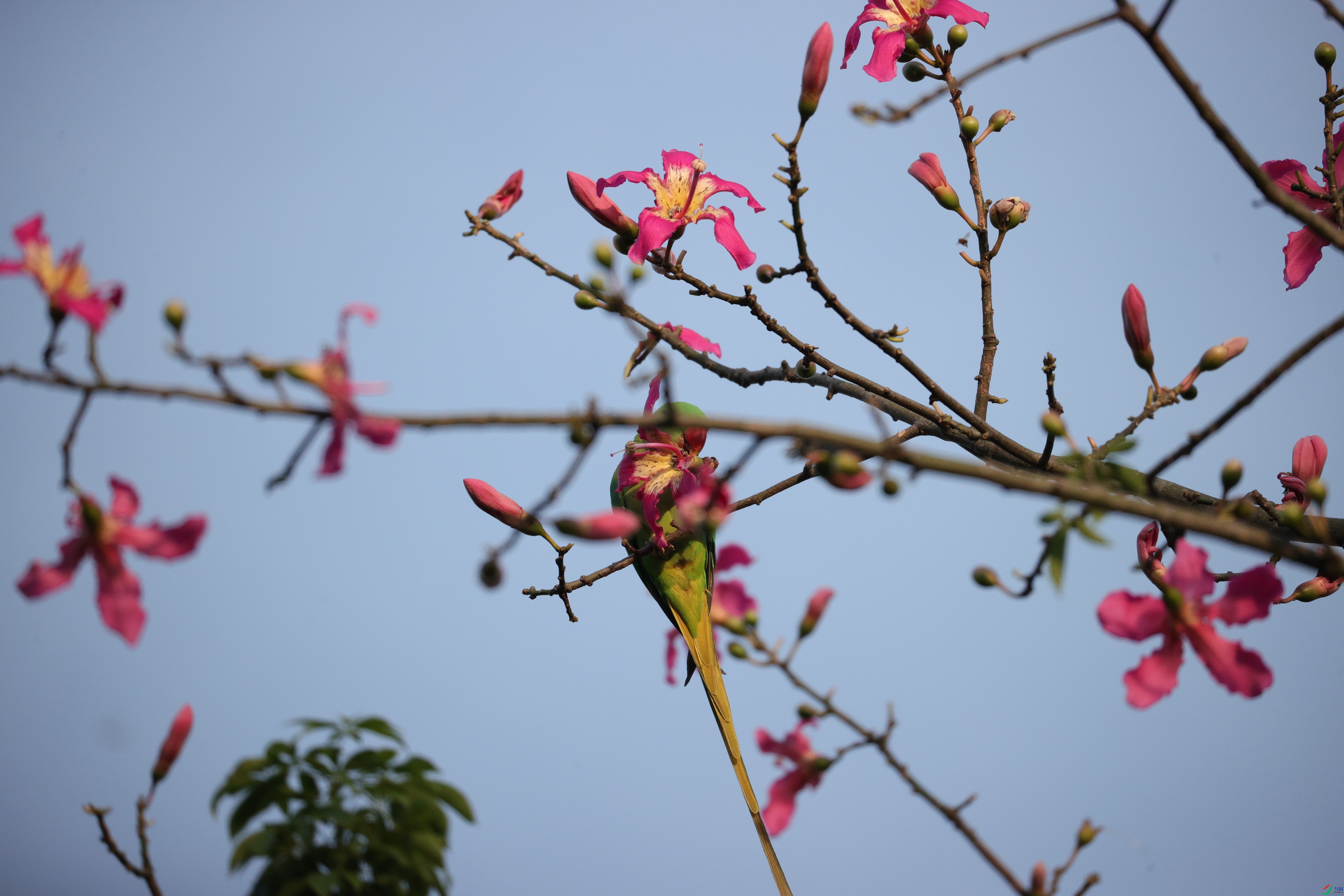 5214��ש����