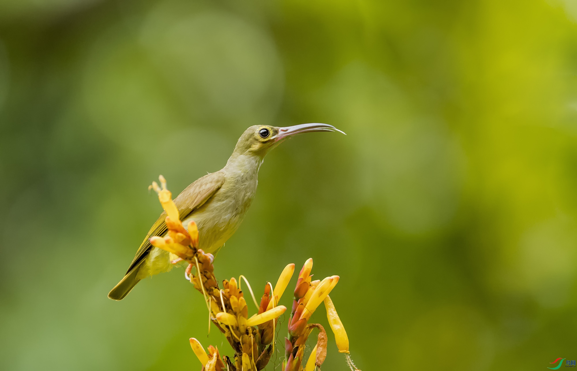 ��ƶ������� (3).jpg