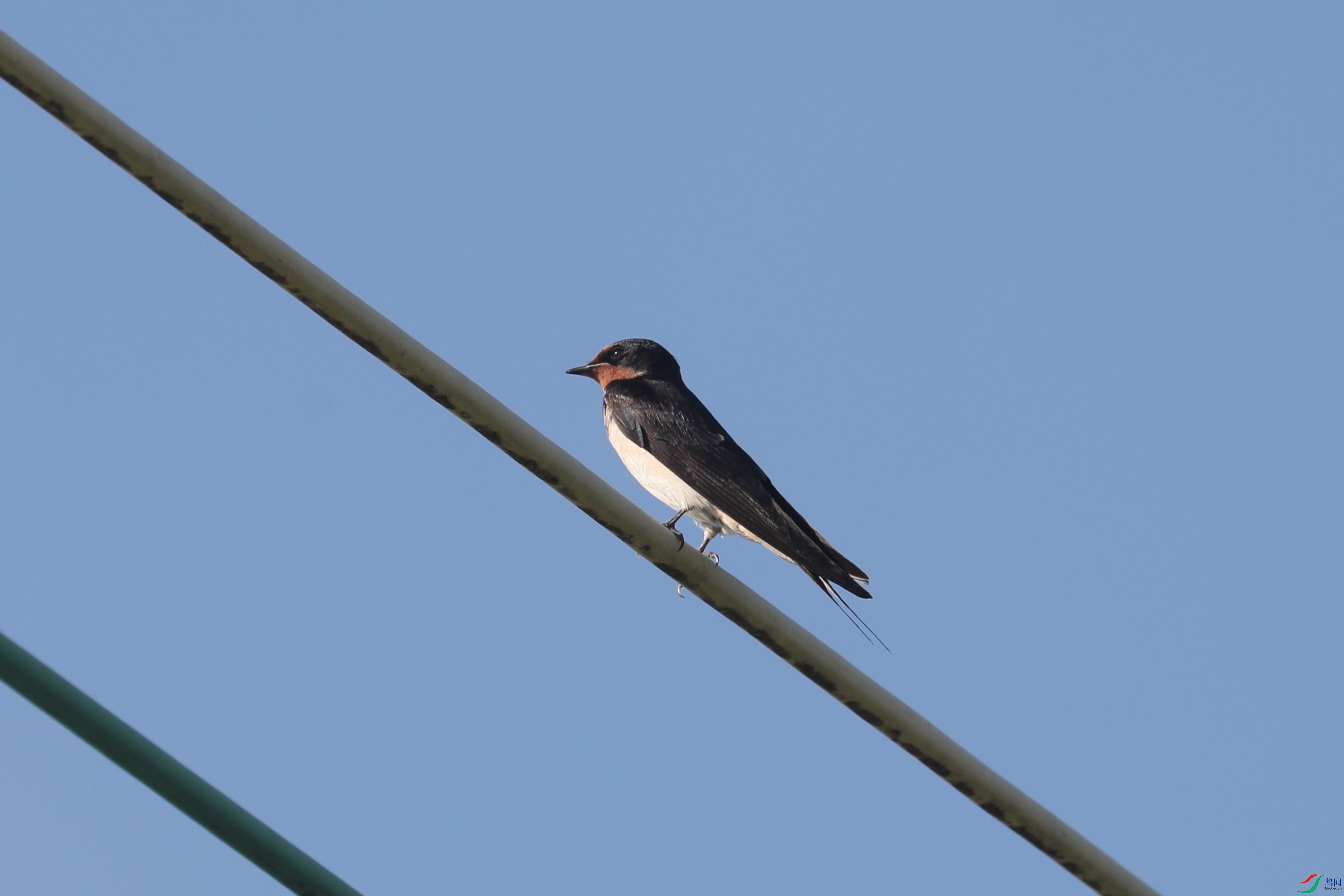 BL7A8107.JPG