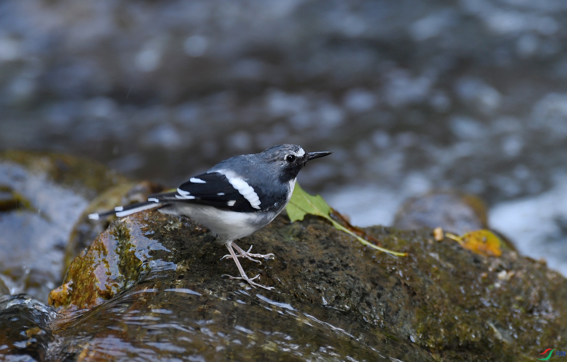 DSC_0123.jpg