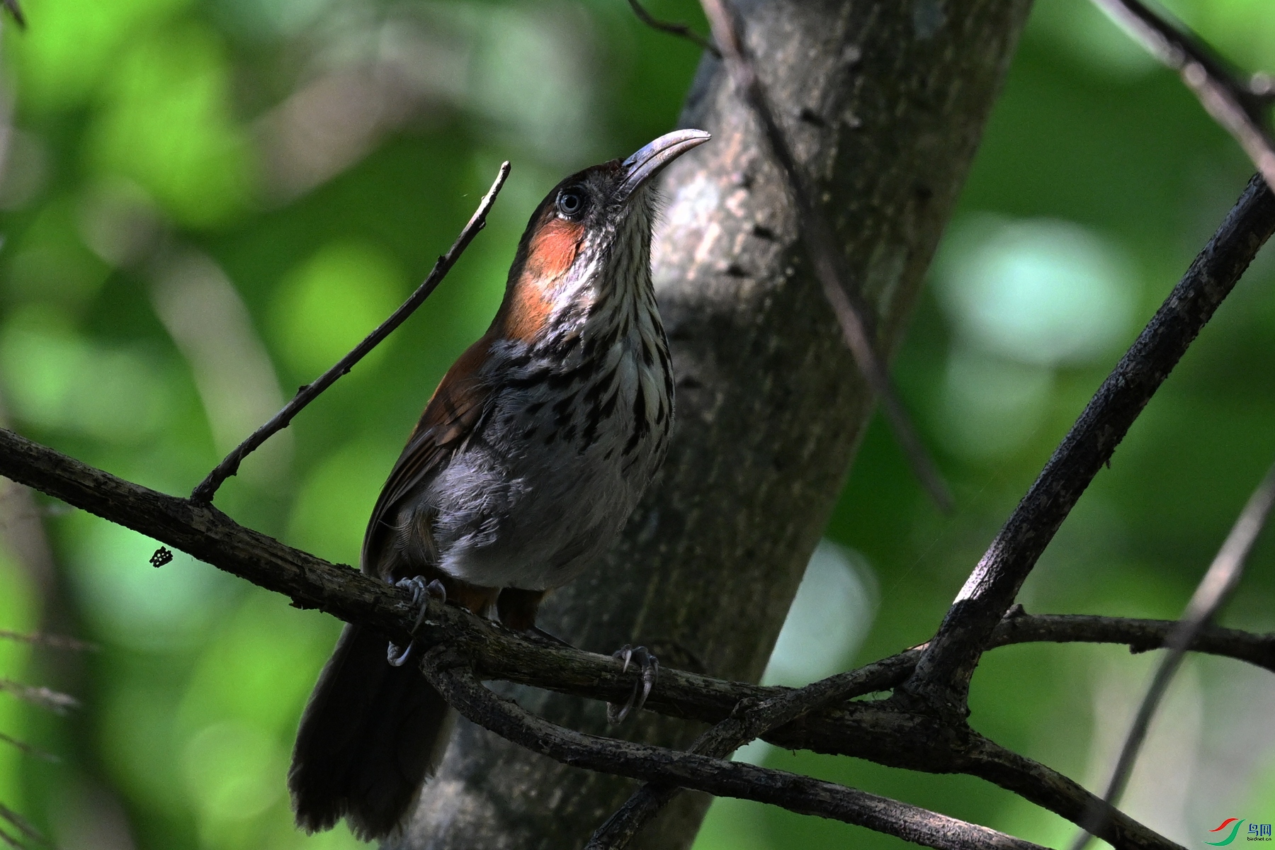 DSC_8755.JPG