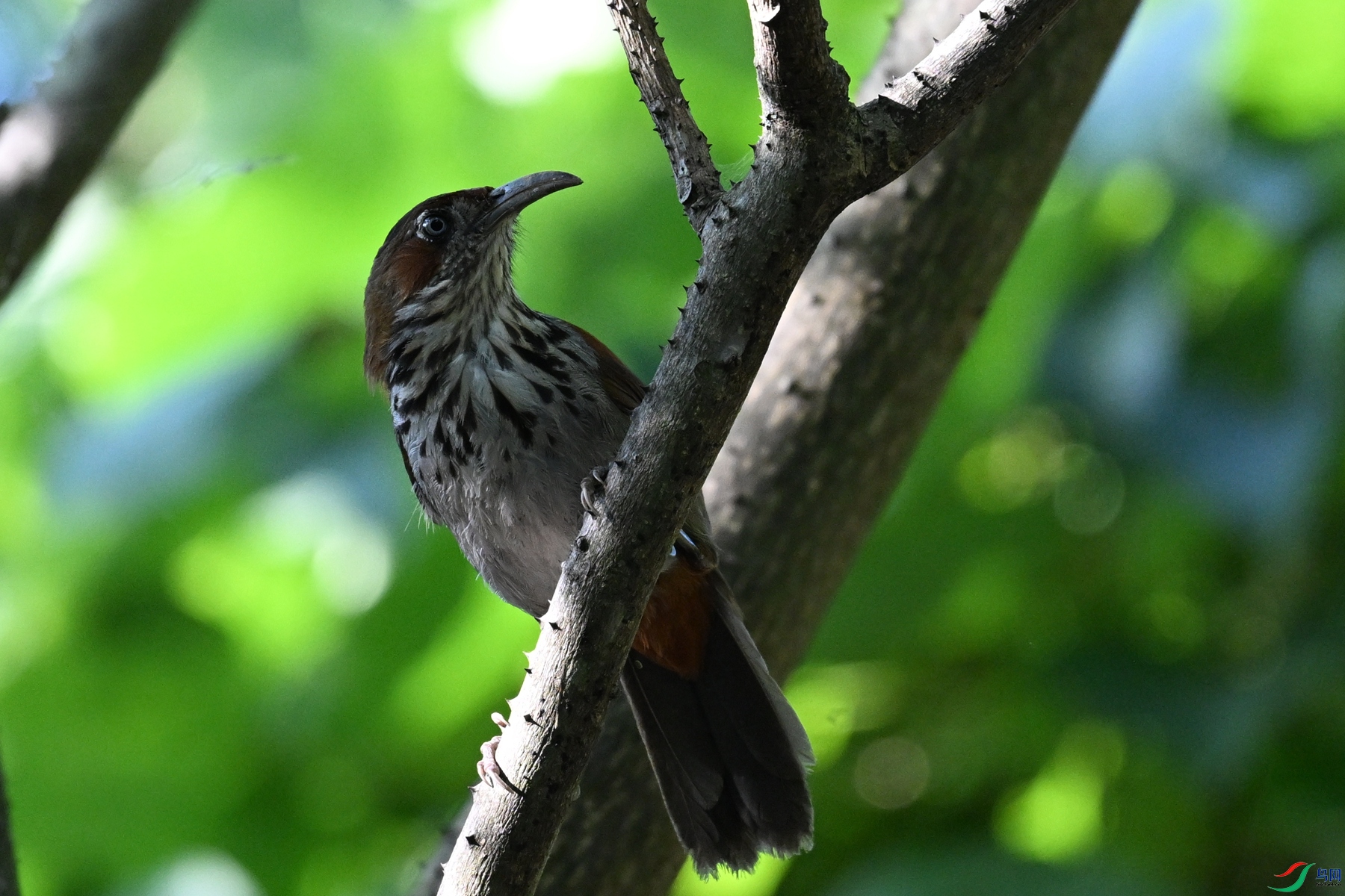 DSC_8776.JPG
