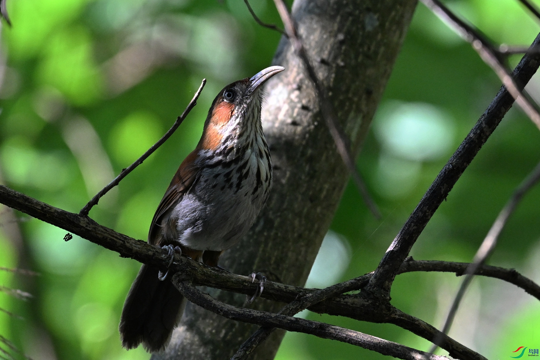 DSC_8757.JPG