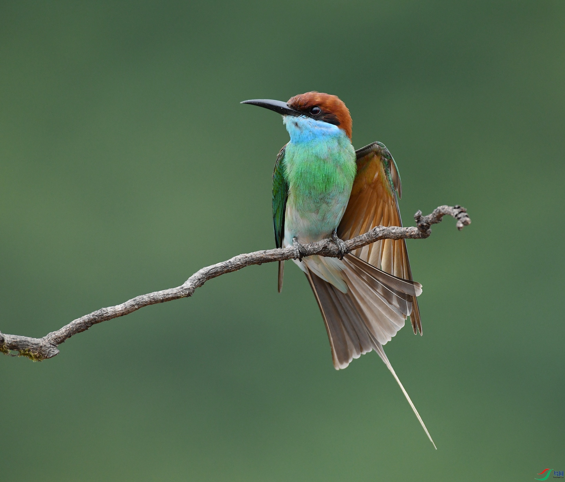 DSC_1462.jpg