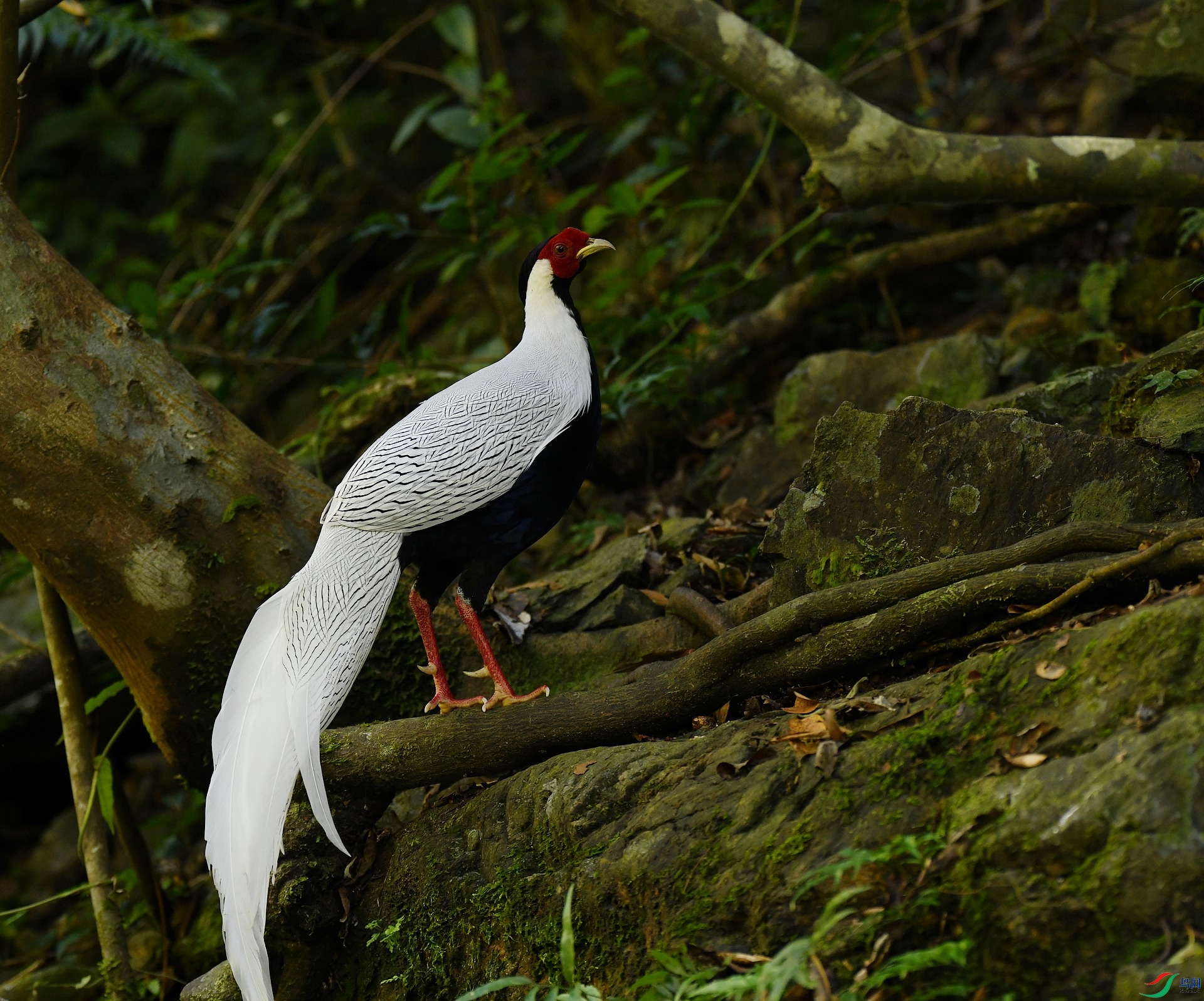 DSC_0394.jpg