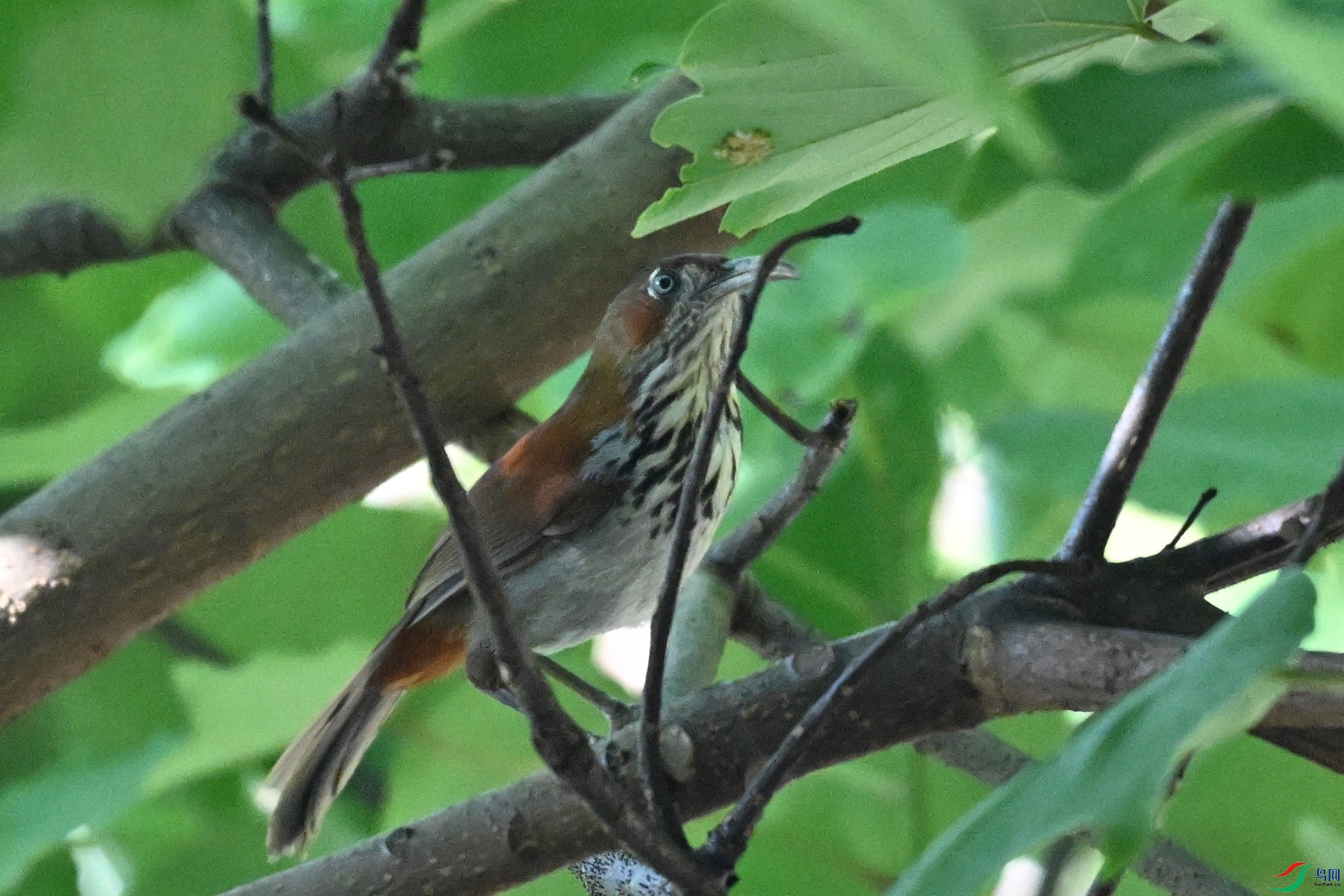 DSC_8782.JPG