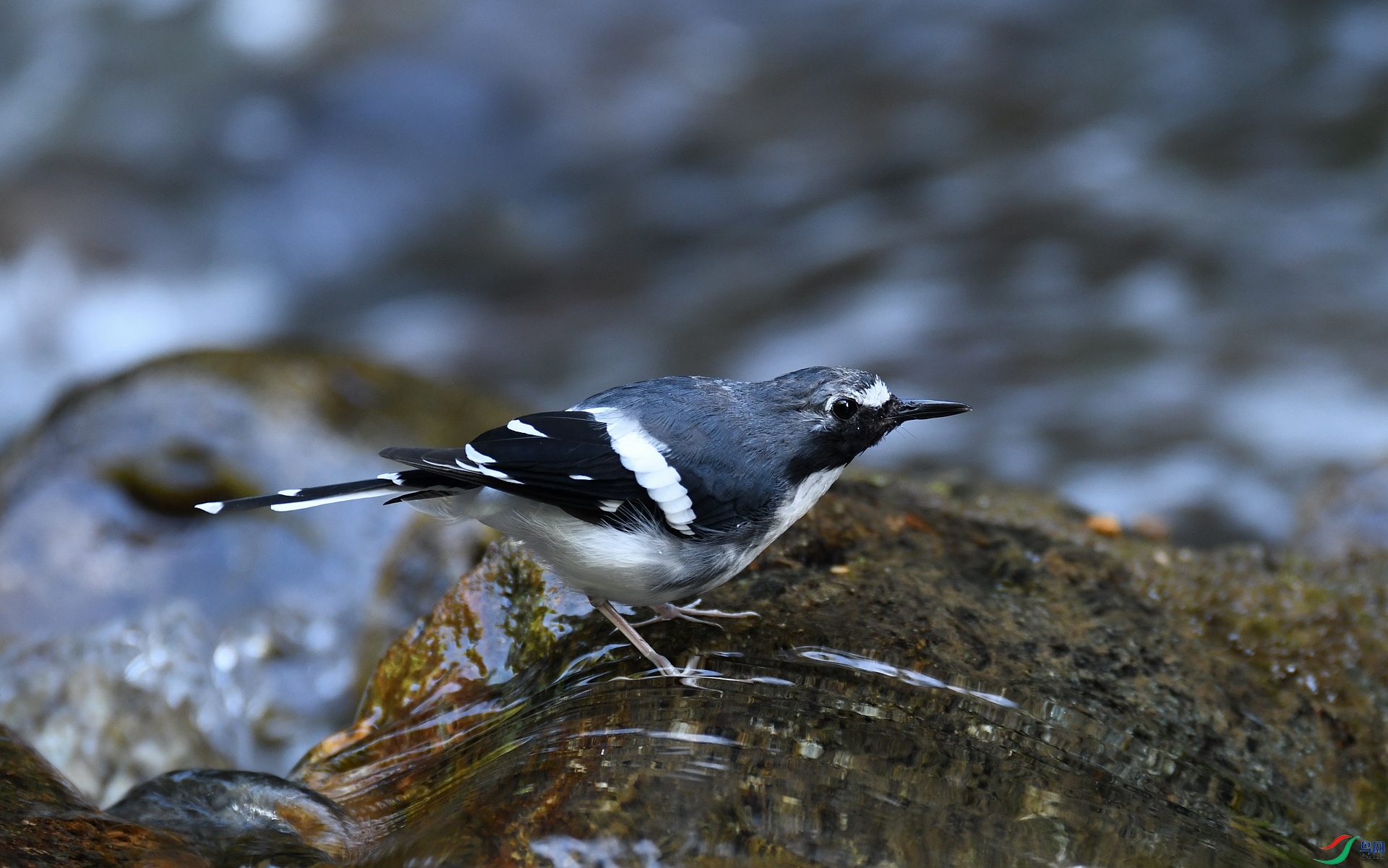 DSC_0298.jpg