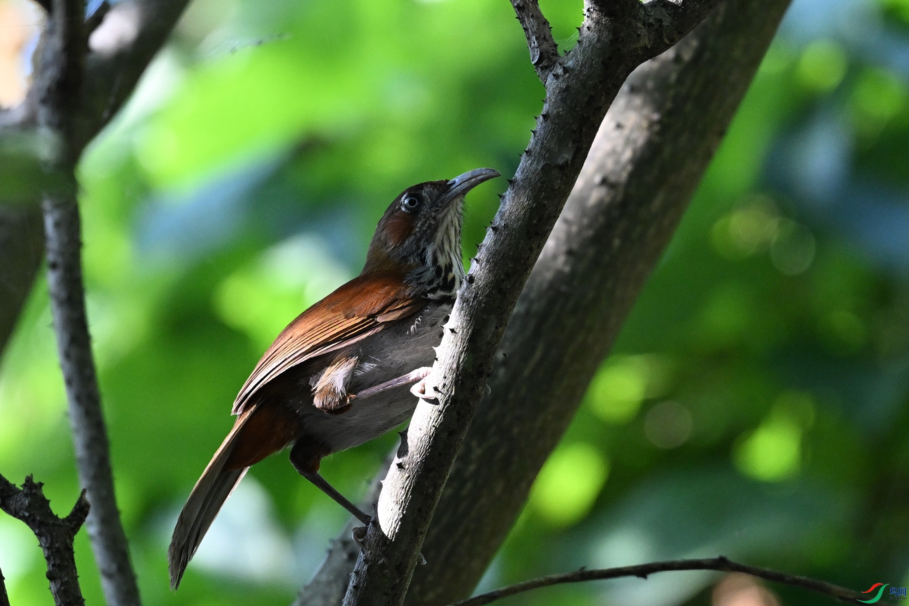 DSC_8766.JPG