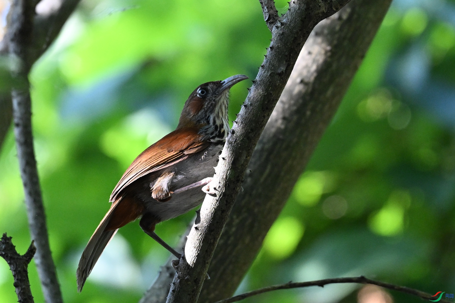 DSC_8768.JPG