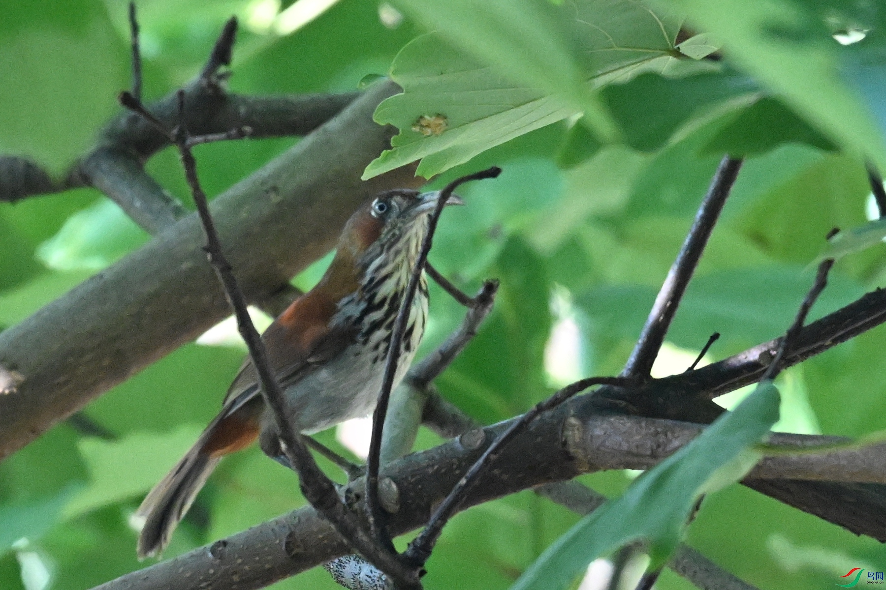 DSC_8783.JPG