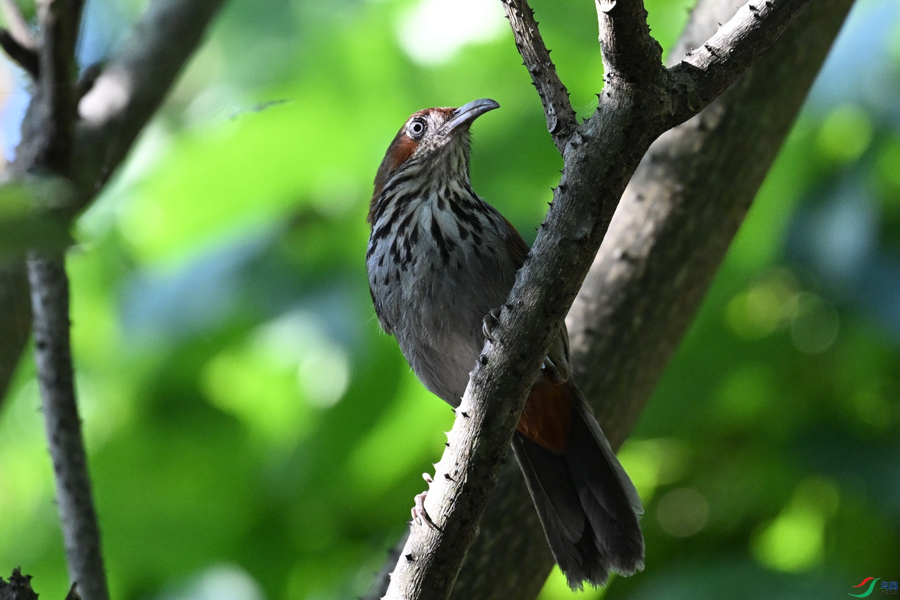 DSC_8781.JPG