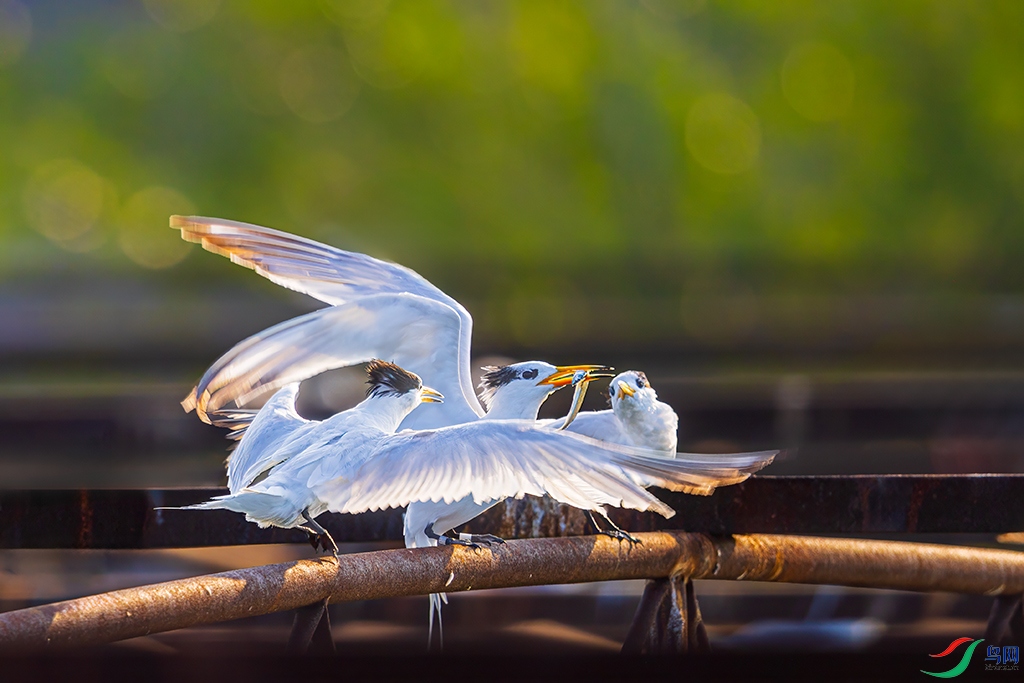 sdqdR5250822 (3686).jpg