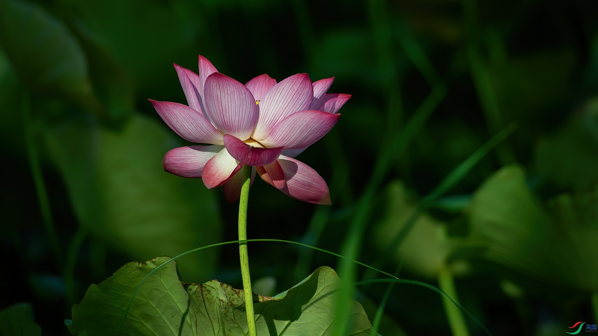 DSC_3363-1-20250911�� .jpg