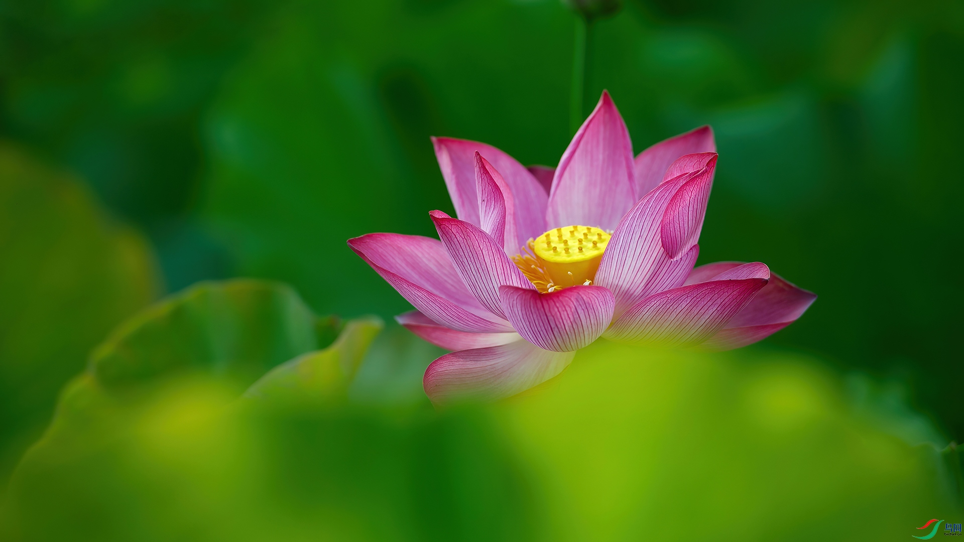 DSC_3358-20220313ӡ�� .jpg