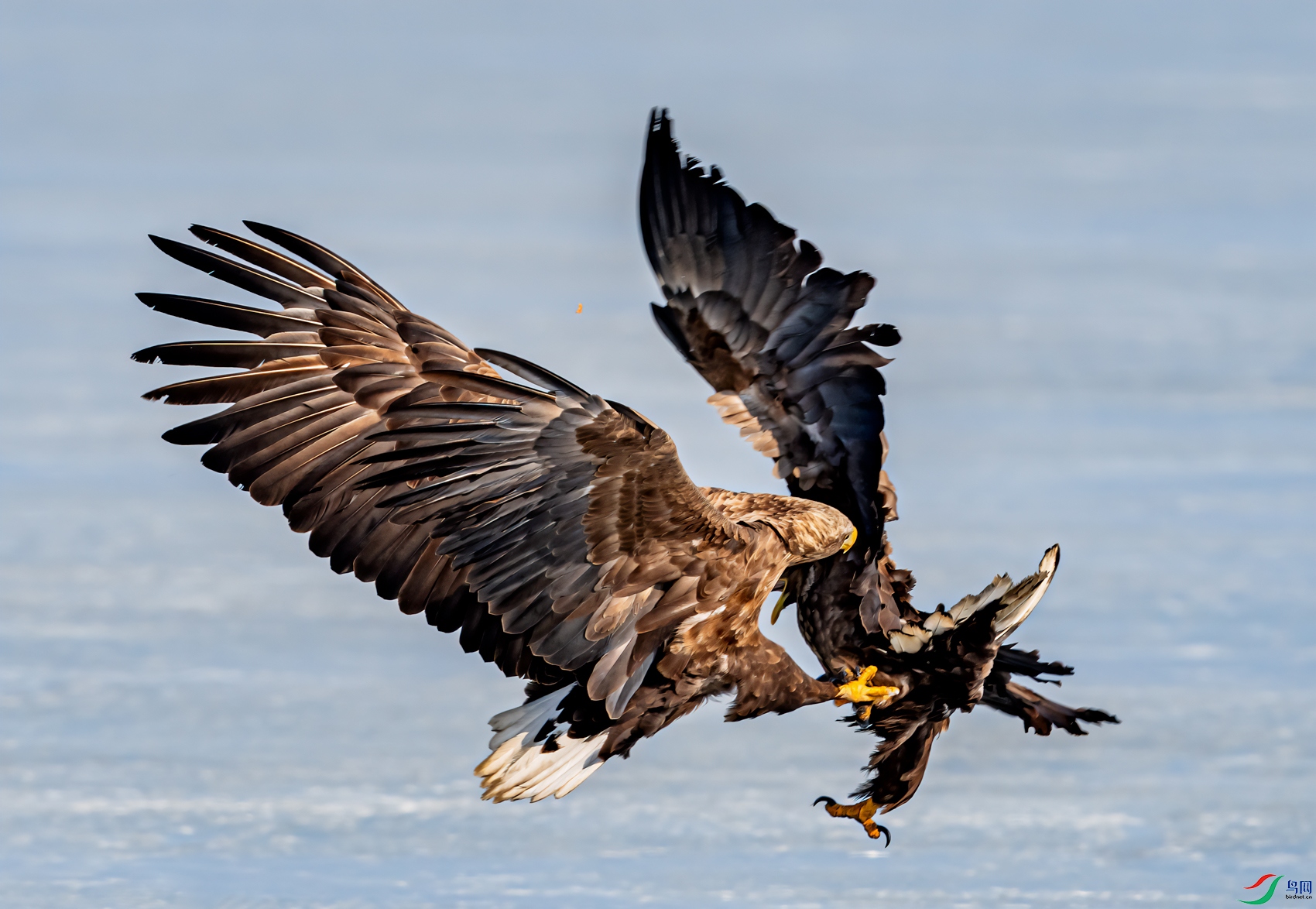 _DSC2218-11.jpg