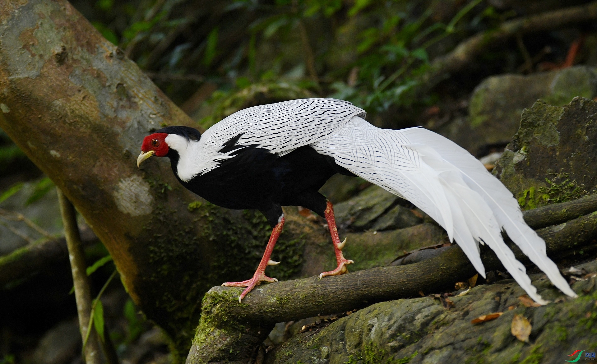DSC_0660.jpg