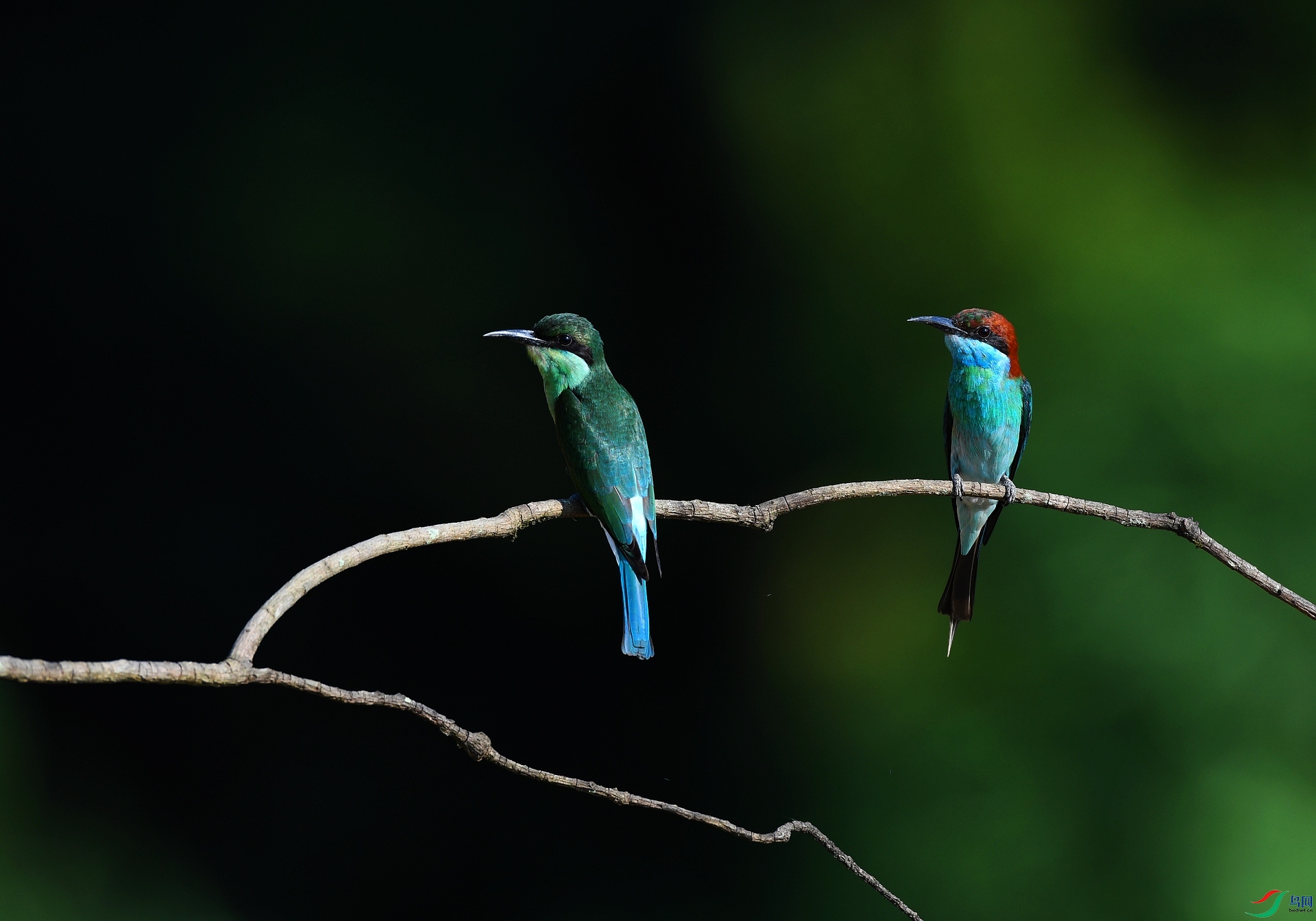 DSC_1477.jpg