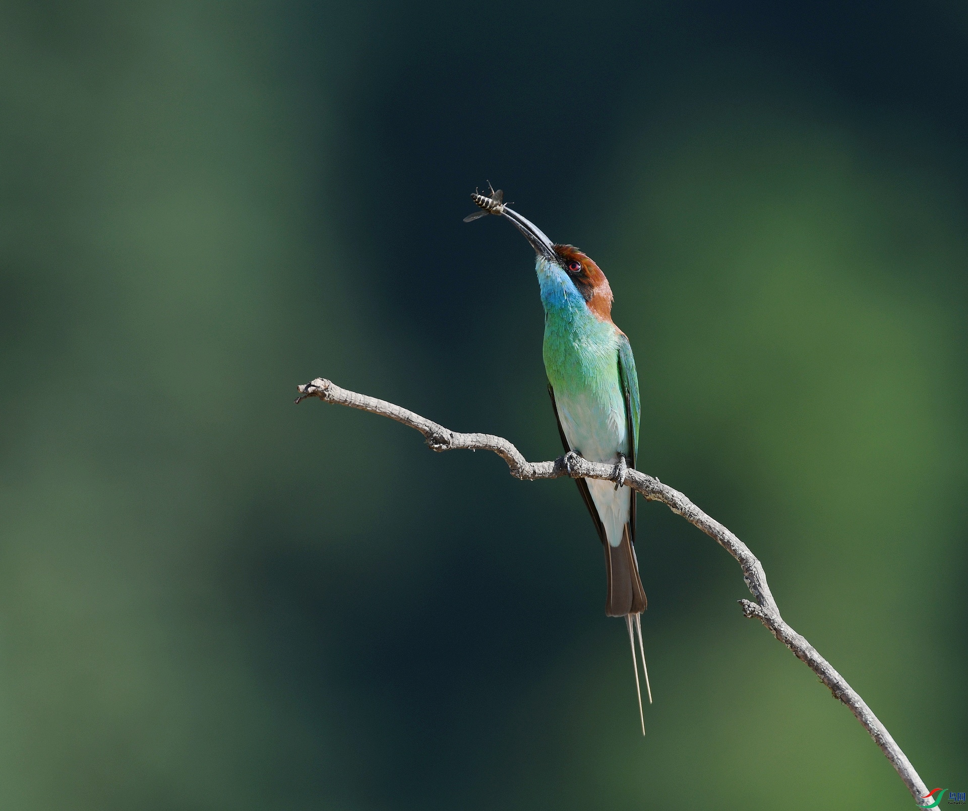DSC_4777.jpg