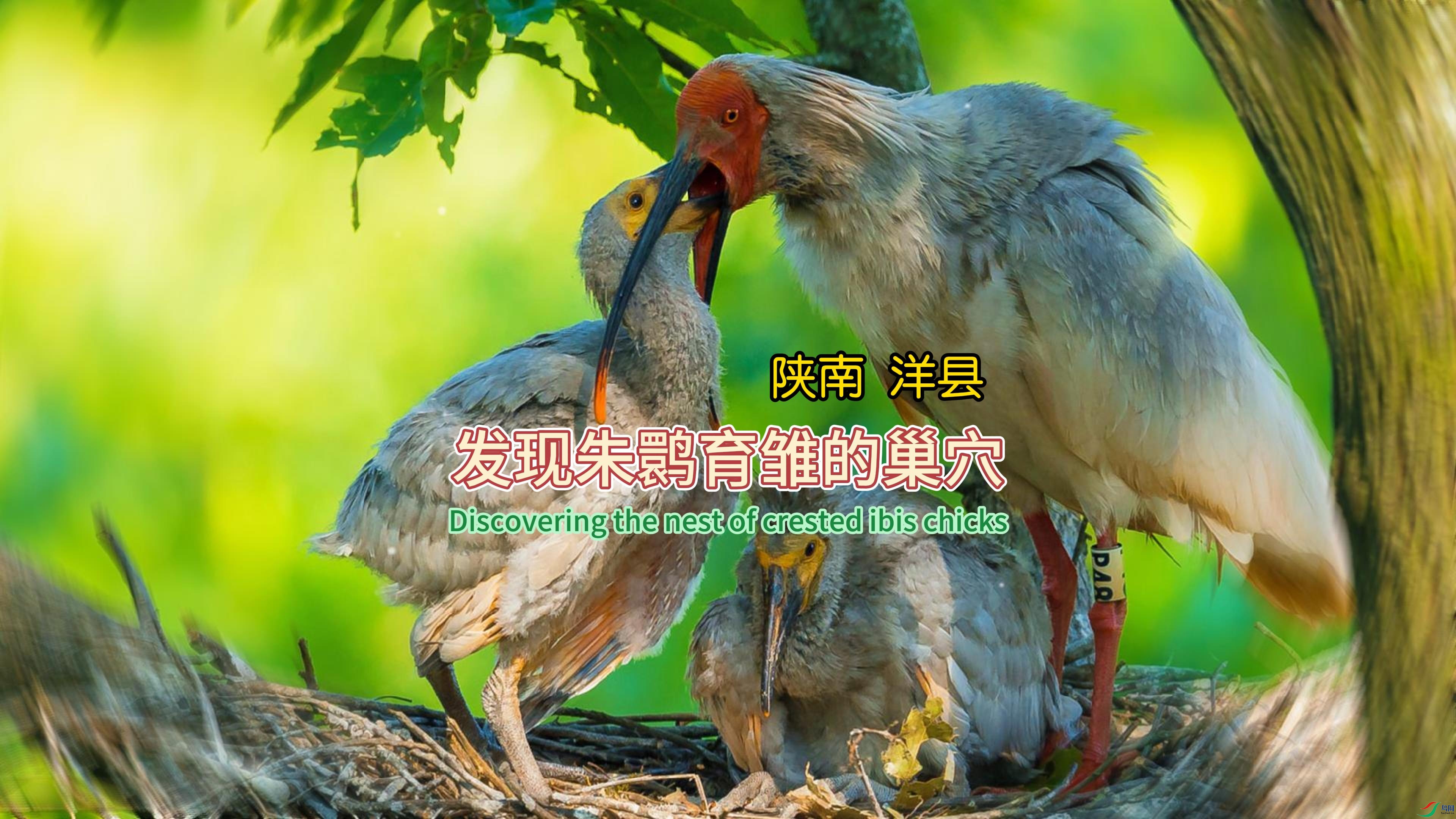 ���� ���� �������q�����ĳ�Ѩ-����.jpg