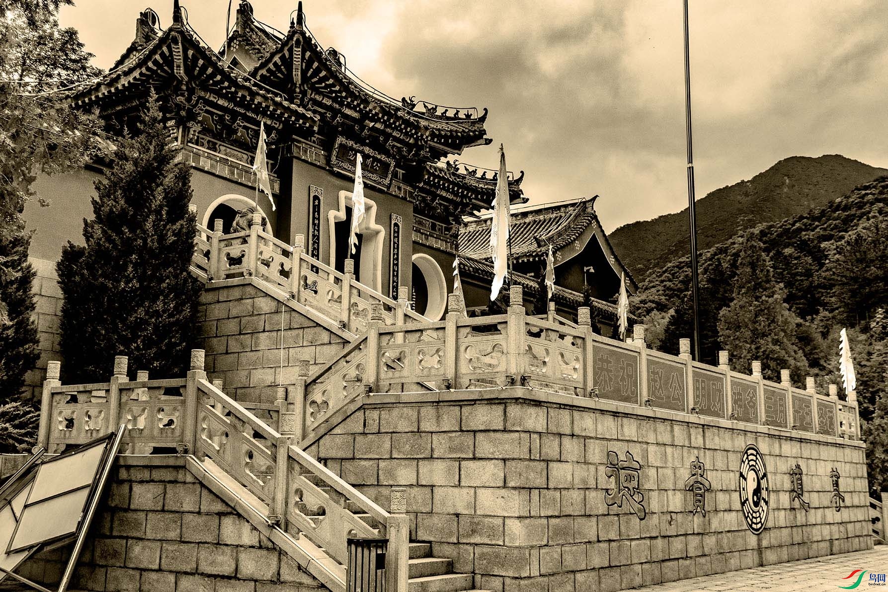 DSC06870 ����.jpg