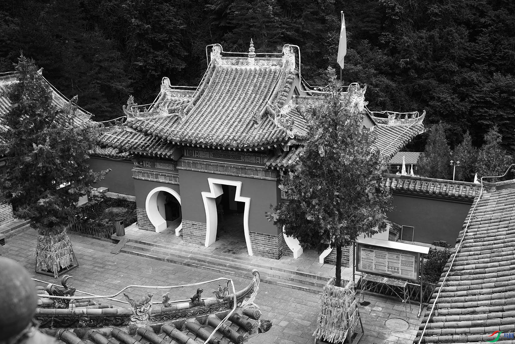 DSC06909 ����.jpg