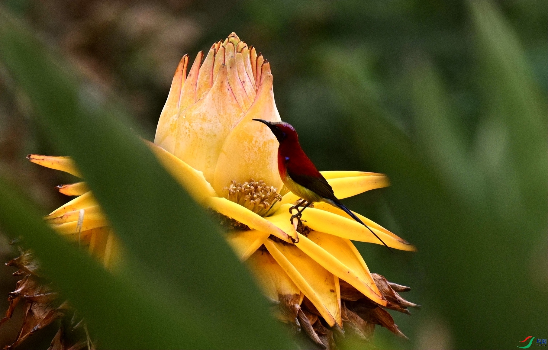 DSC_8231_����.jpg