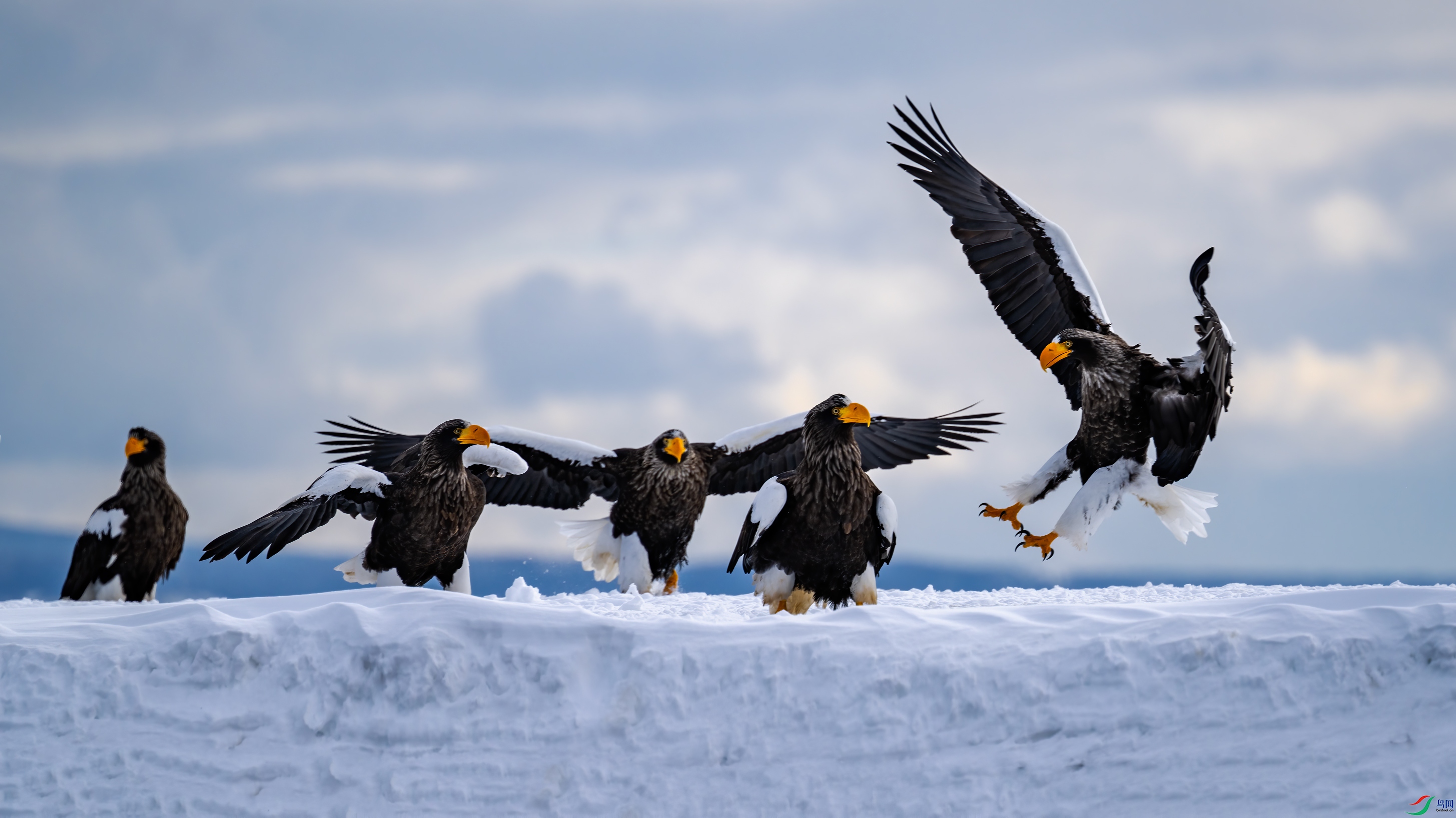 _DSC4605-2.jpg