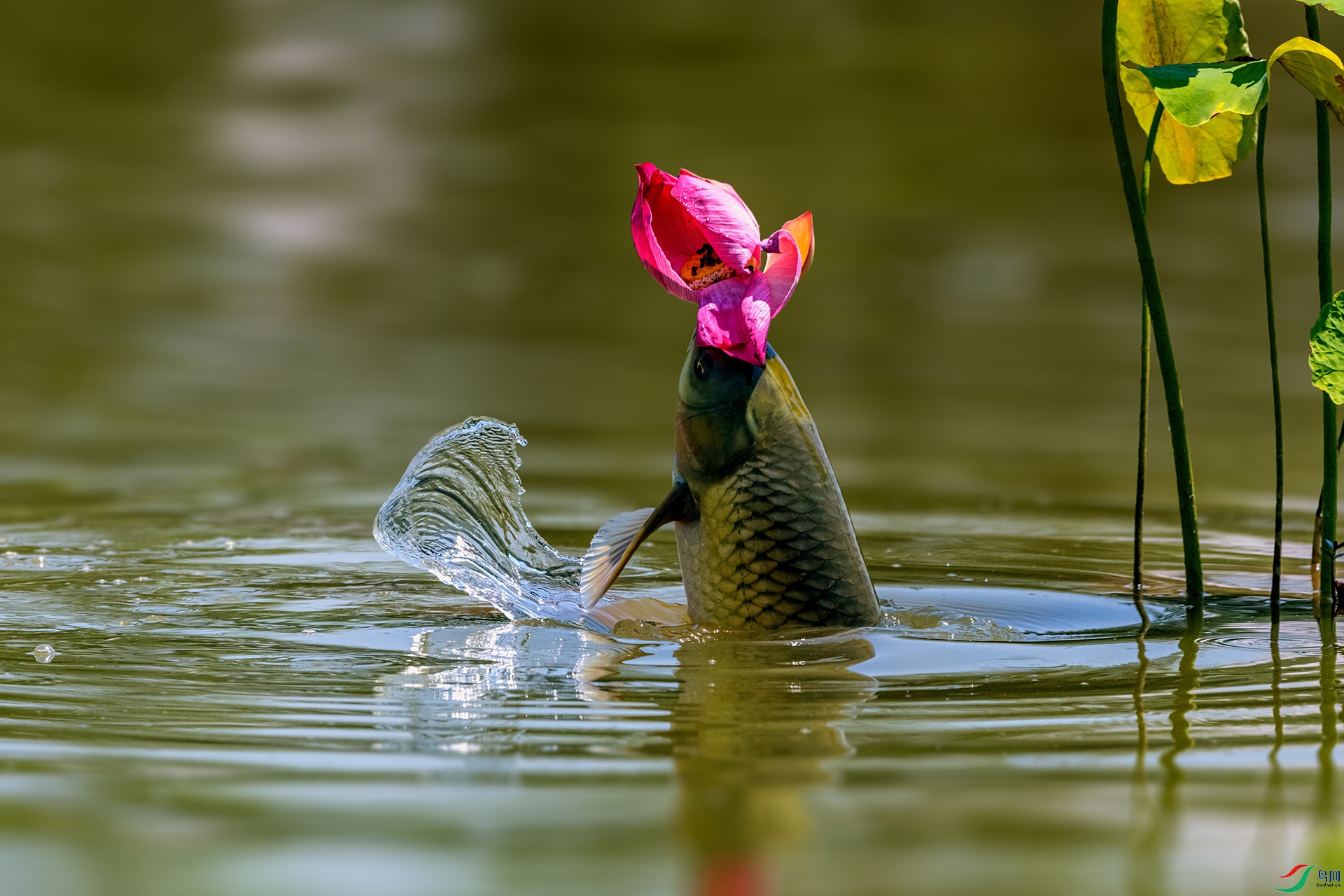 _AUU7542 ����(25.7.29).jpg