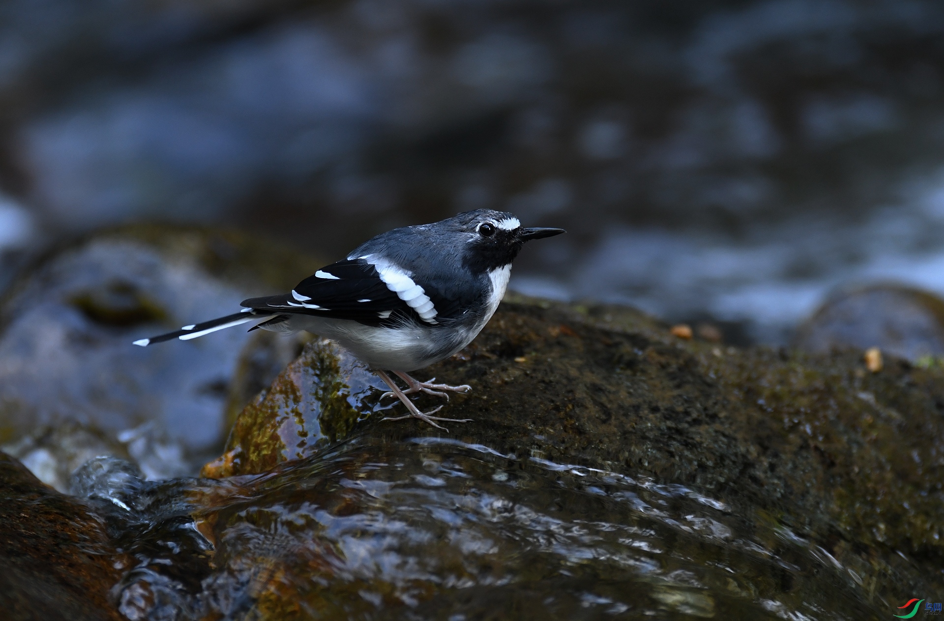 DSC_0301.jpg