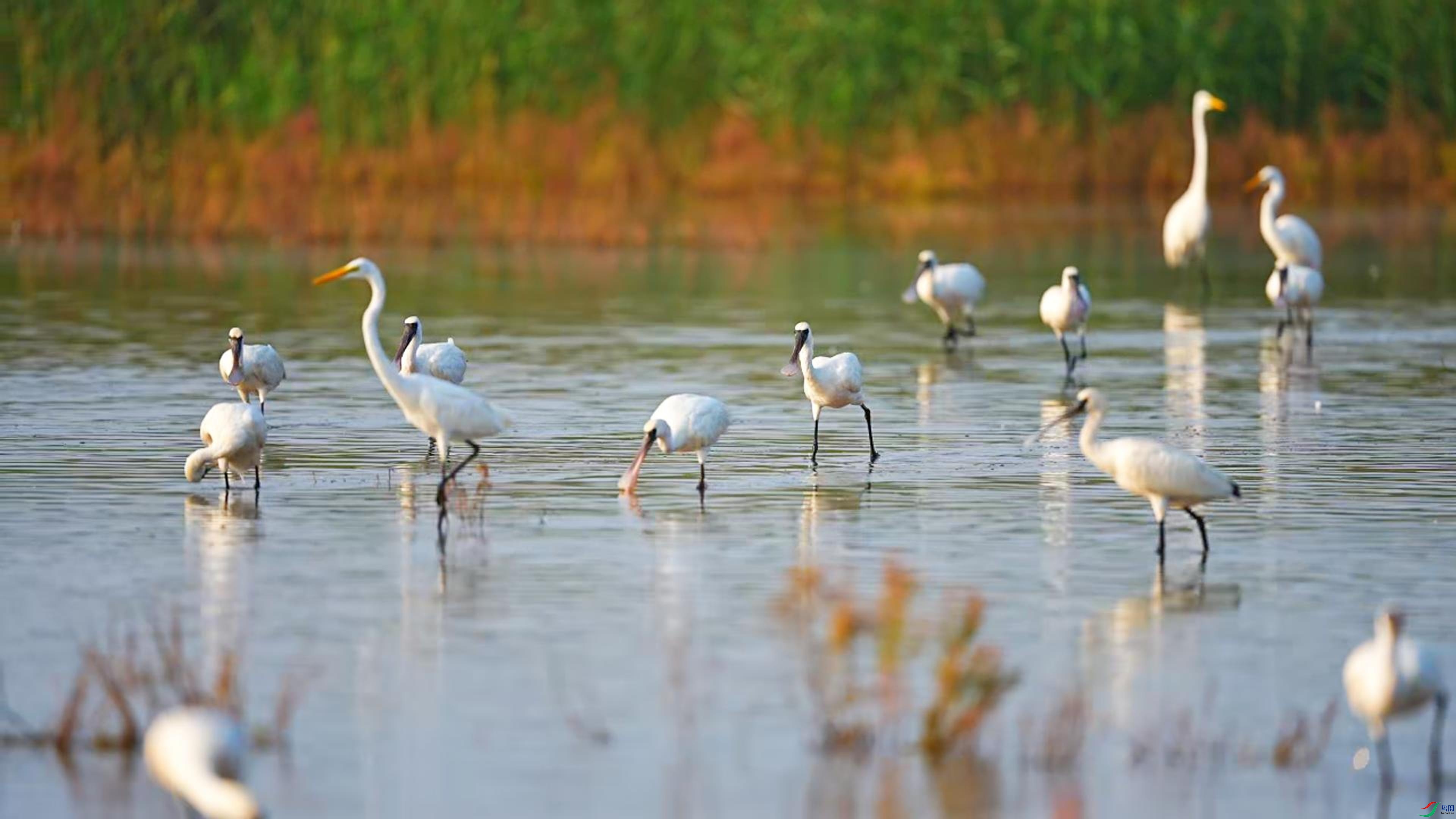 9��11�� (1)-����.jpg