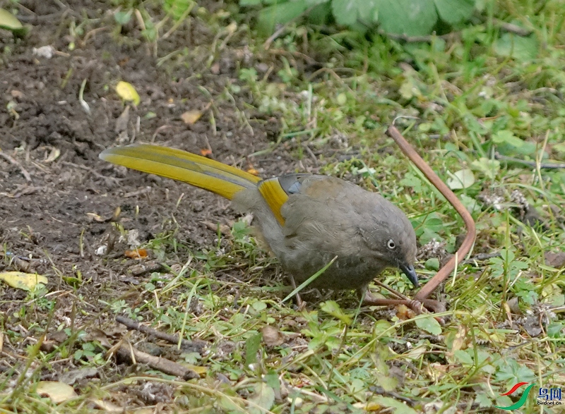 DSC00130.JPG