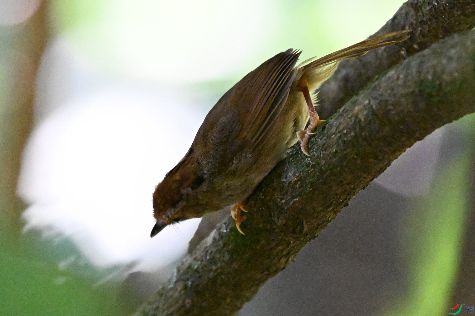 DSC_8798.JPG