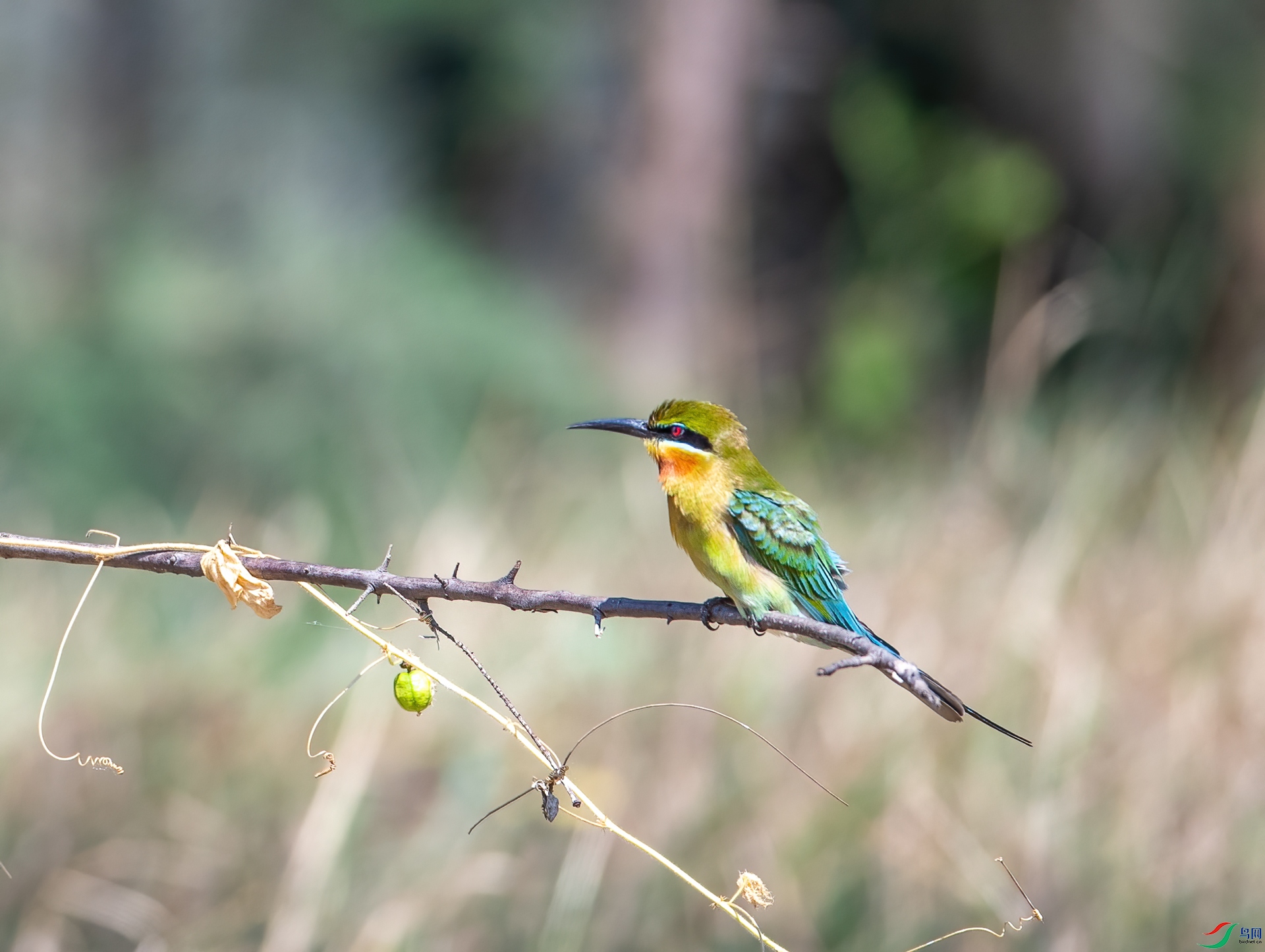 DSC_5174.jpg
