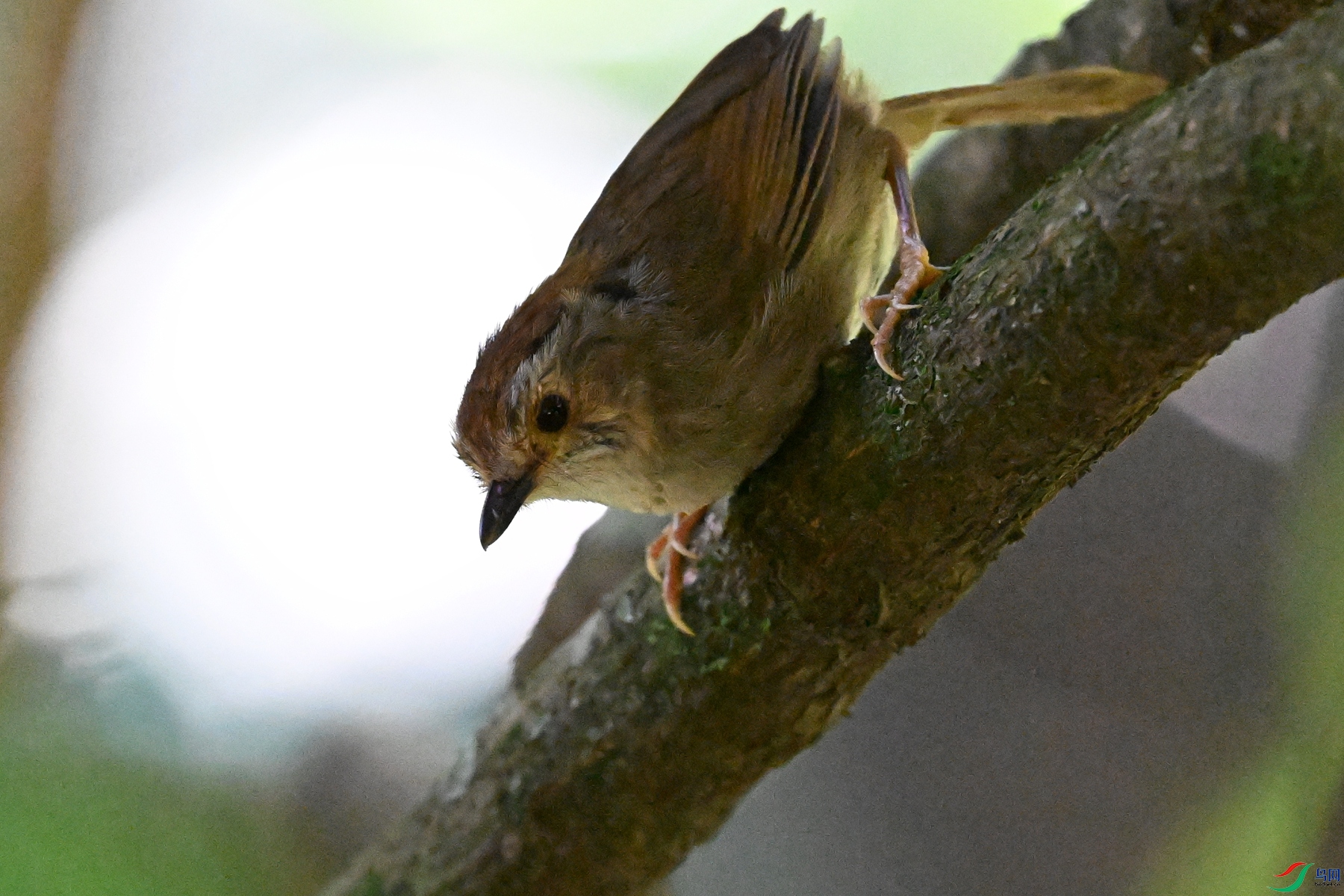 DSC_8801.JPG