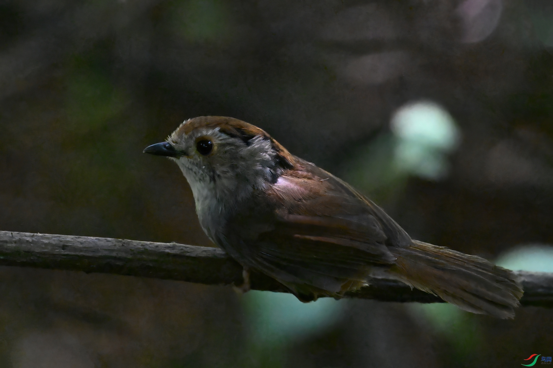 DSC_8786.JPG