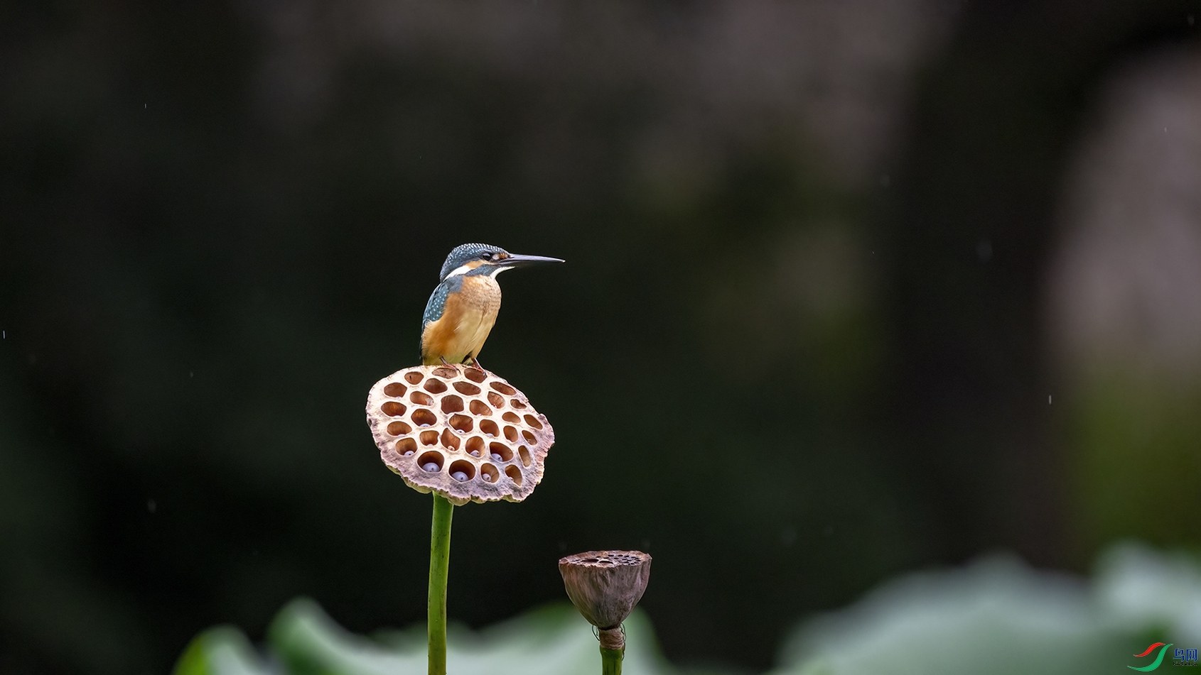 708A0482 ���� 2.jpg