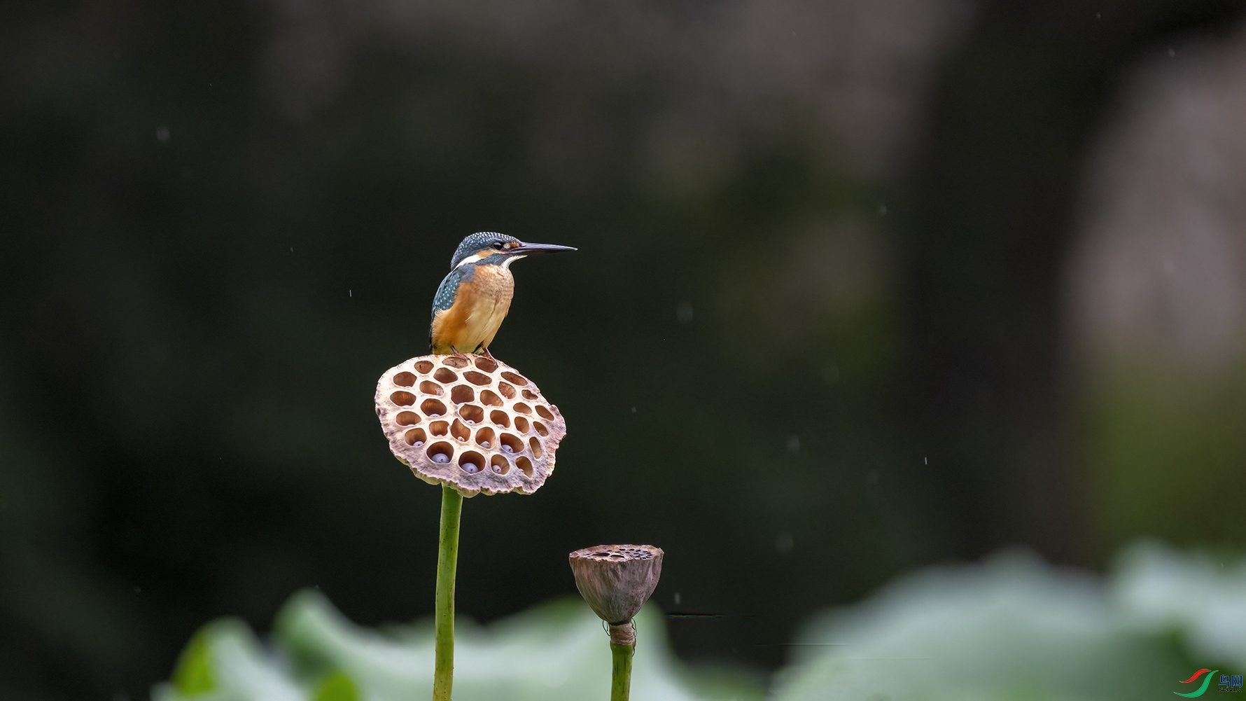 708A0488 ���� 2.jpg