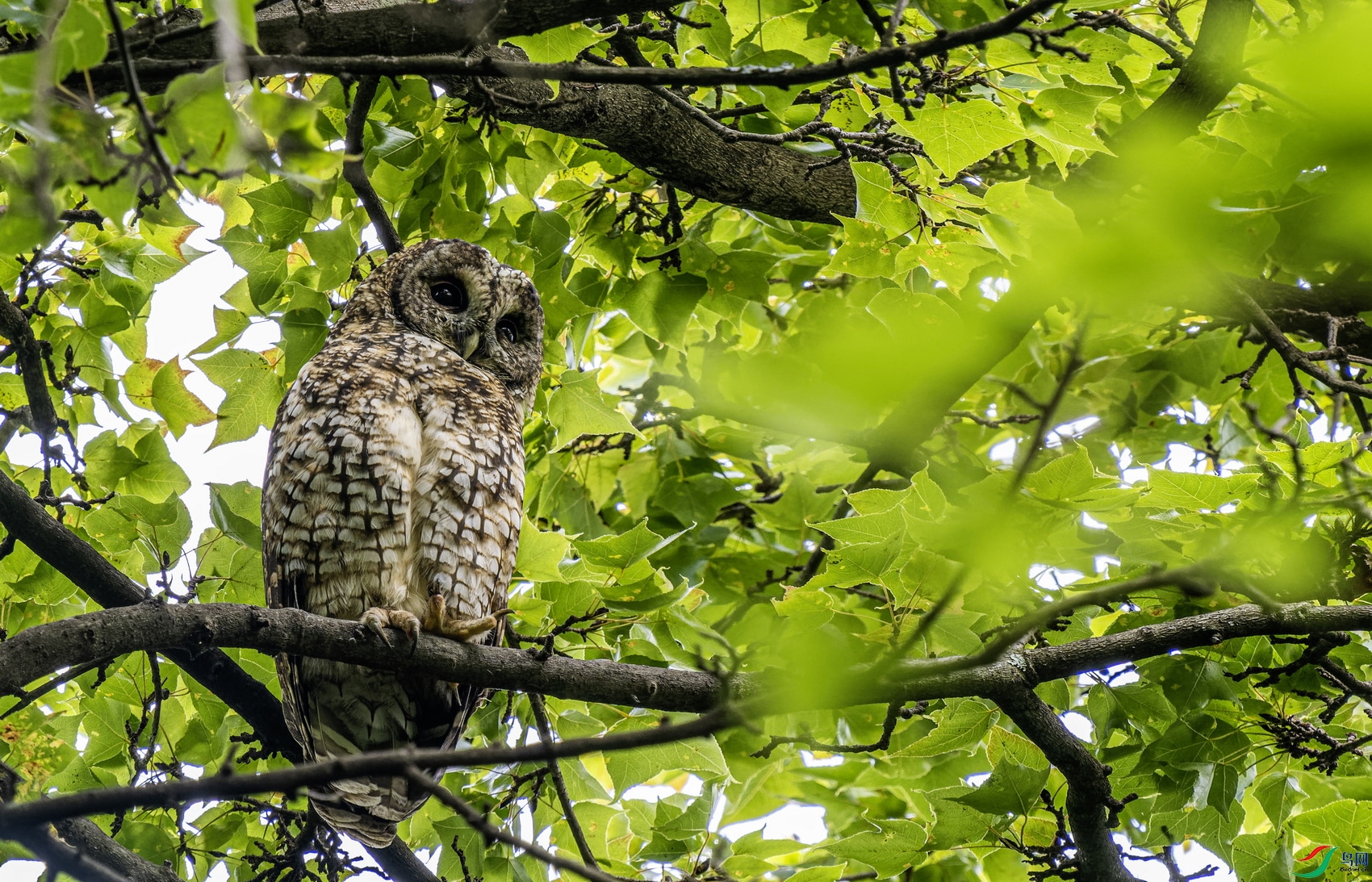 �����^ (3630)-01.jpg