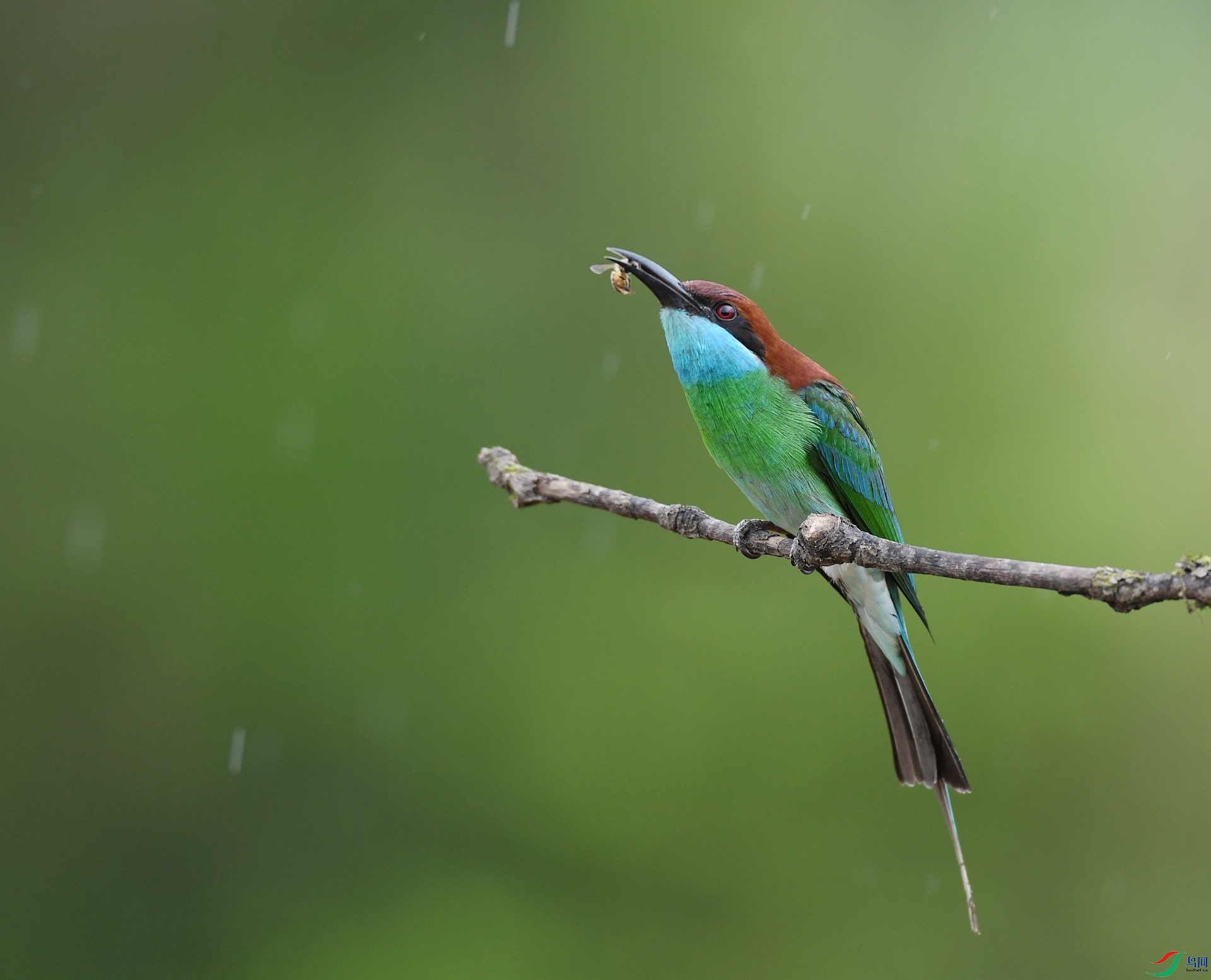 DSC_7901.jpg