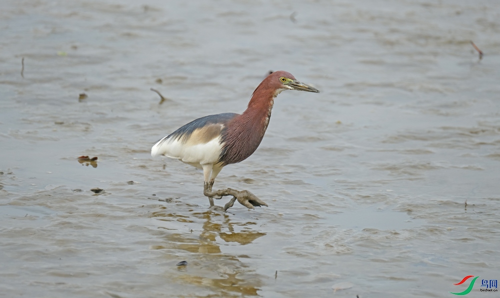 DSCF5570.1.jpg
