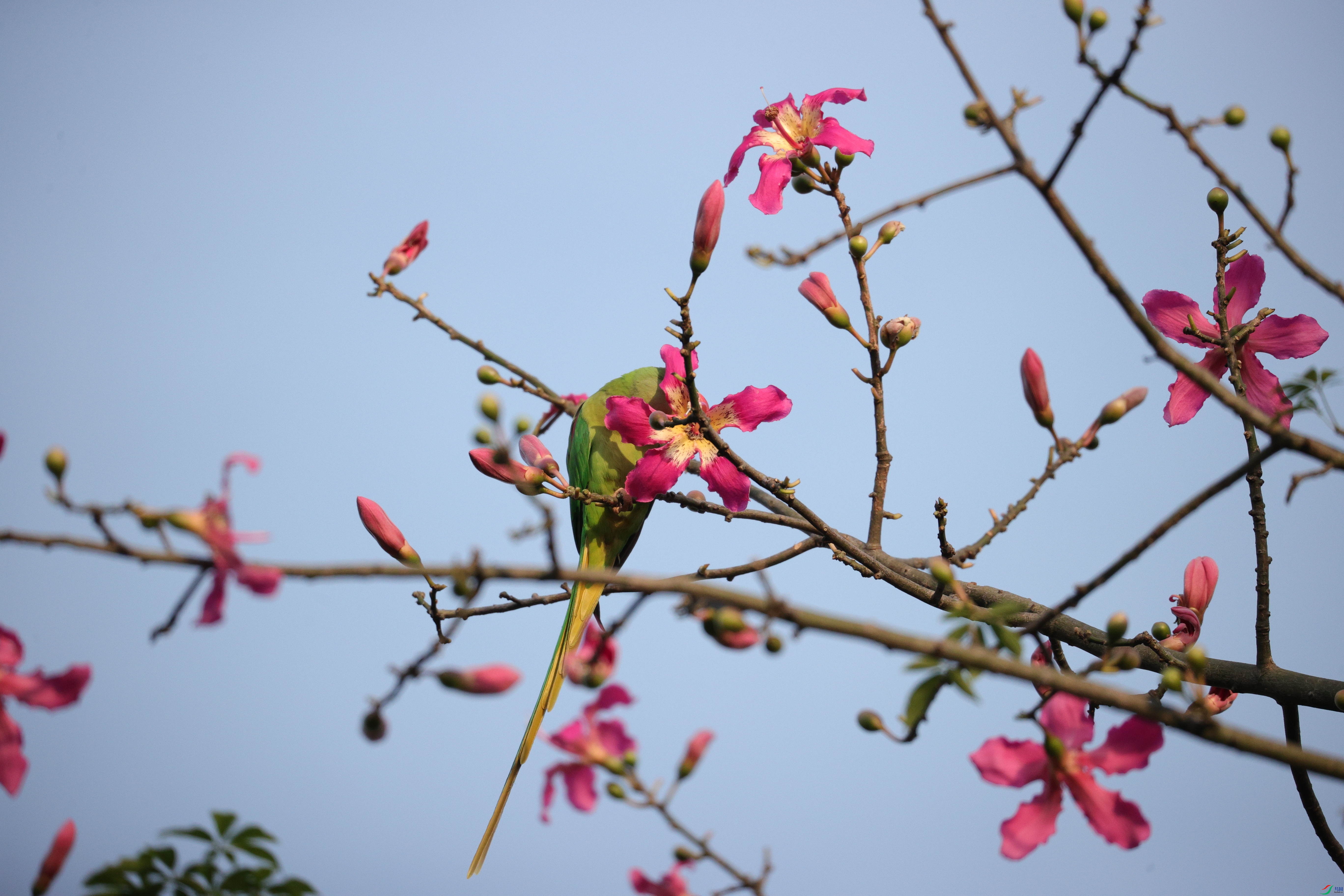 5307��ש����