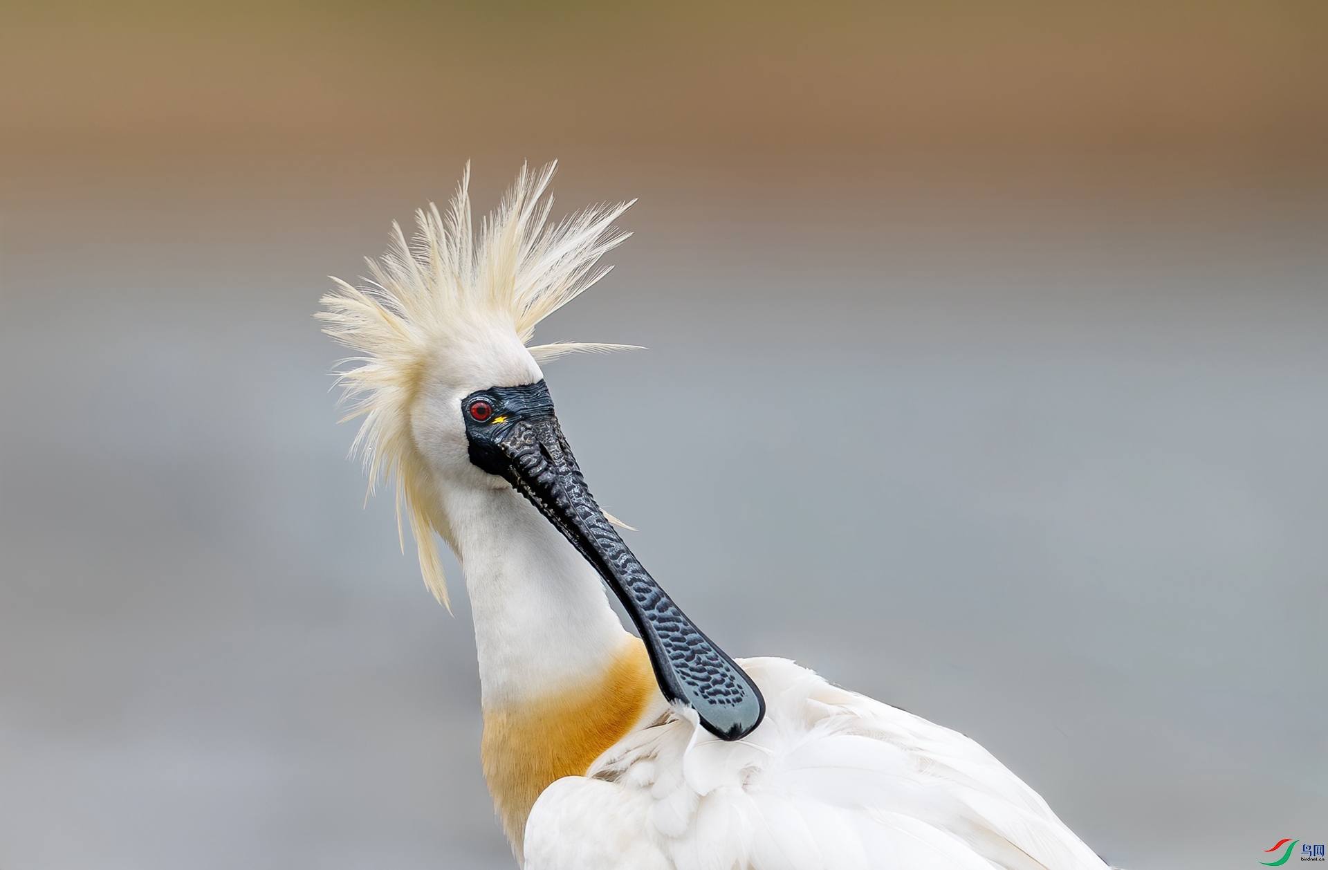 DSC_5125_1.jpg