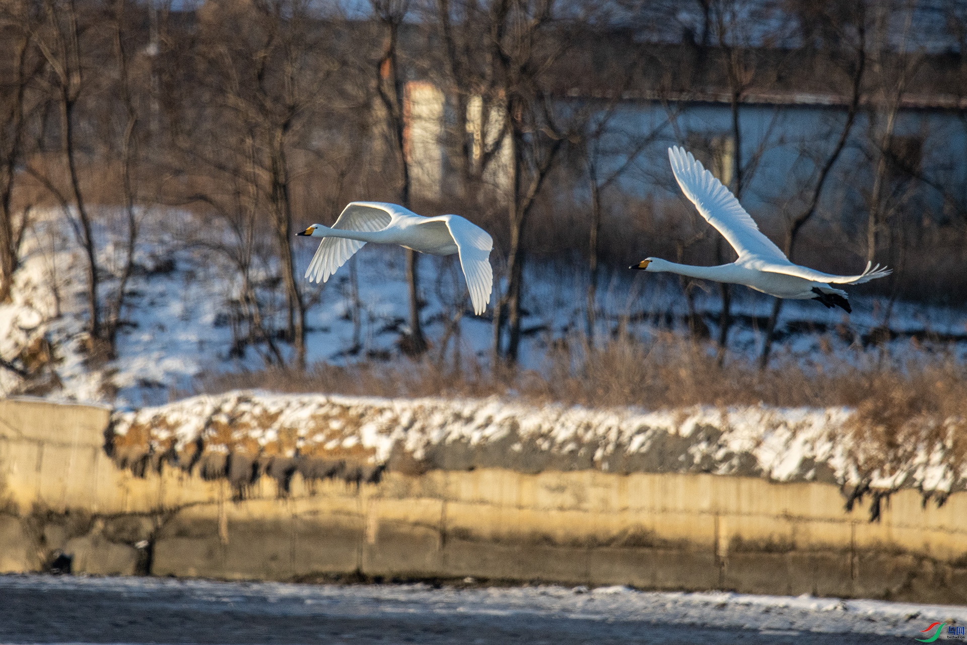 IMG_1105�㶫.jpg