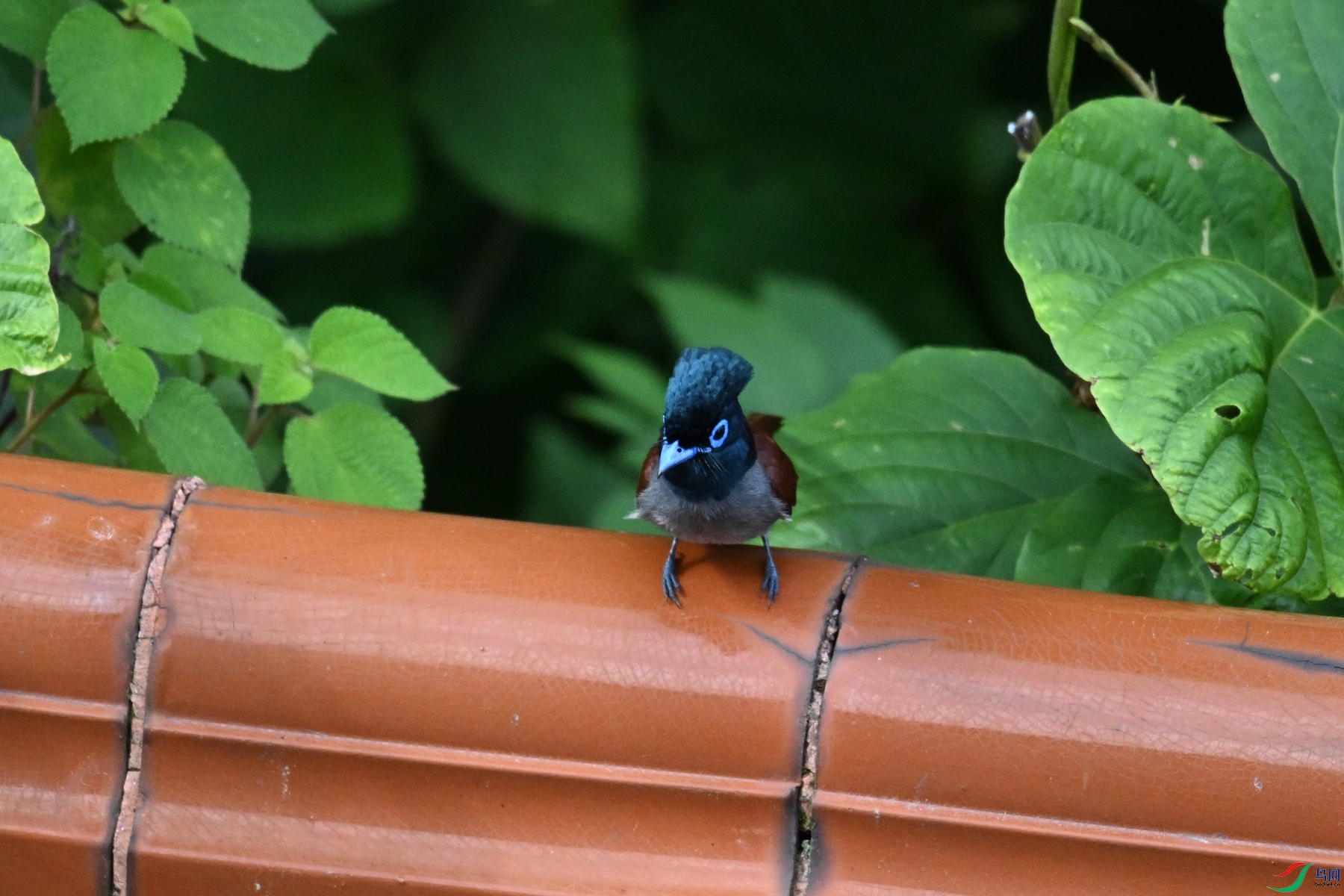 DSC_5692.JPG