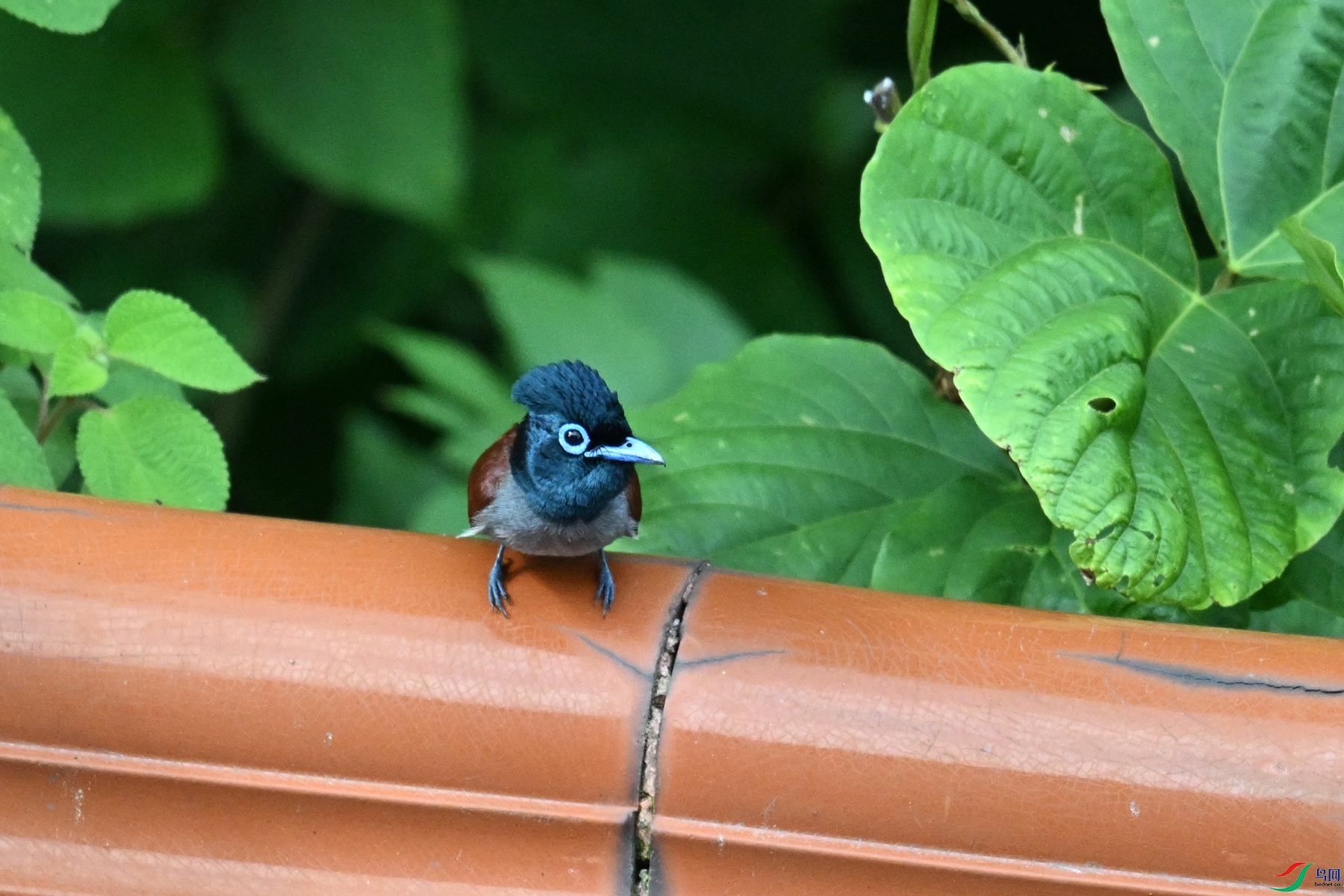 DSC_5697.JPG