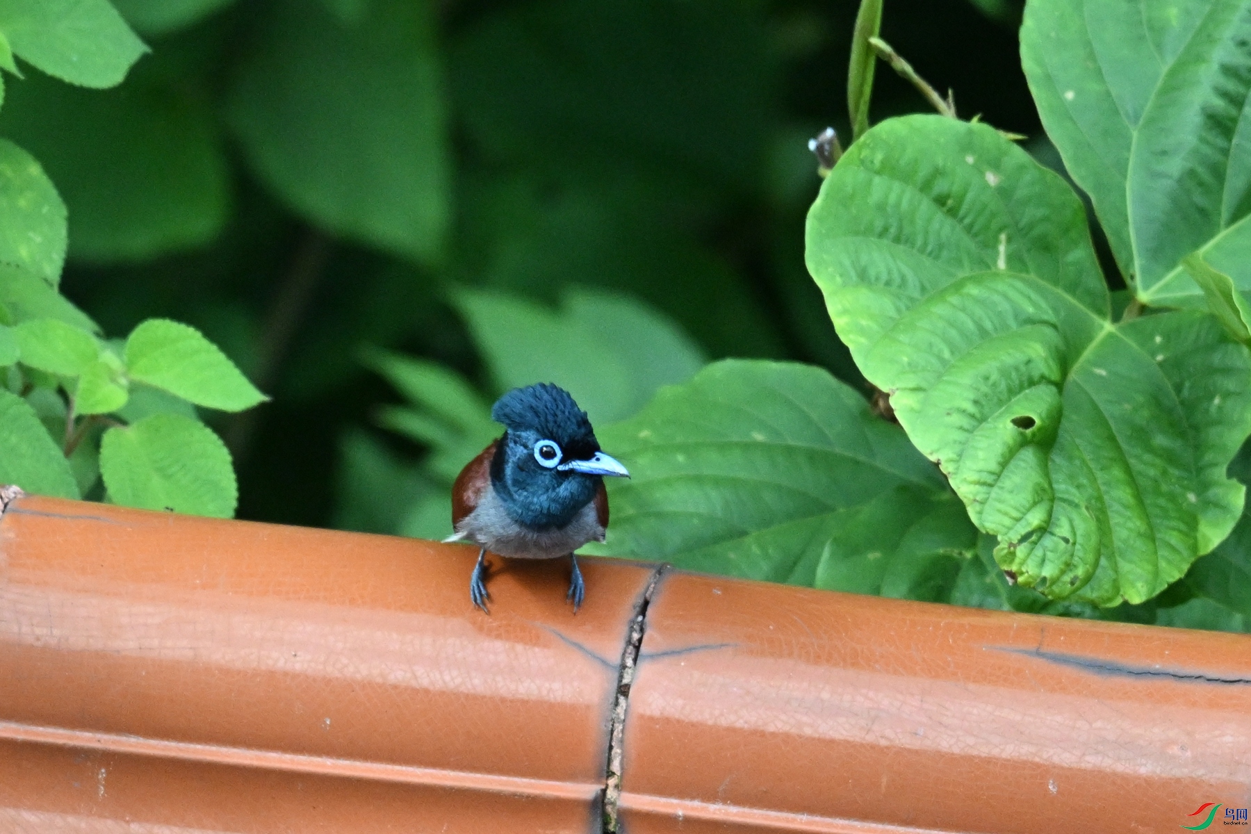 DSC_5698.JPG