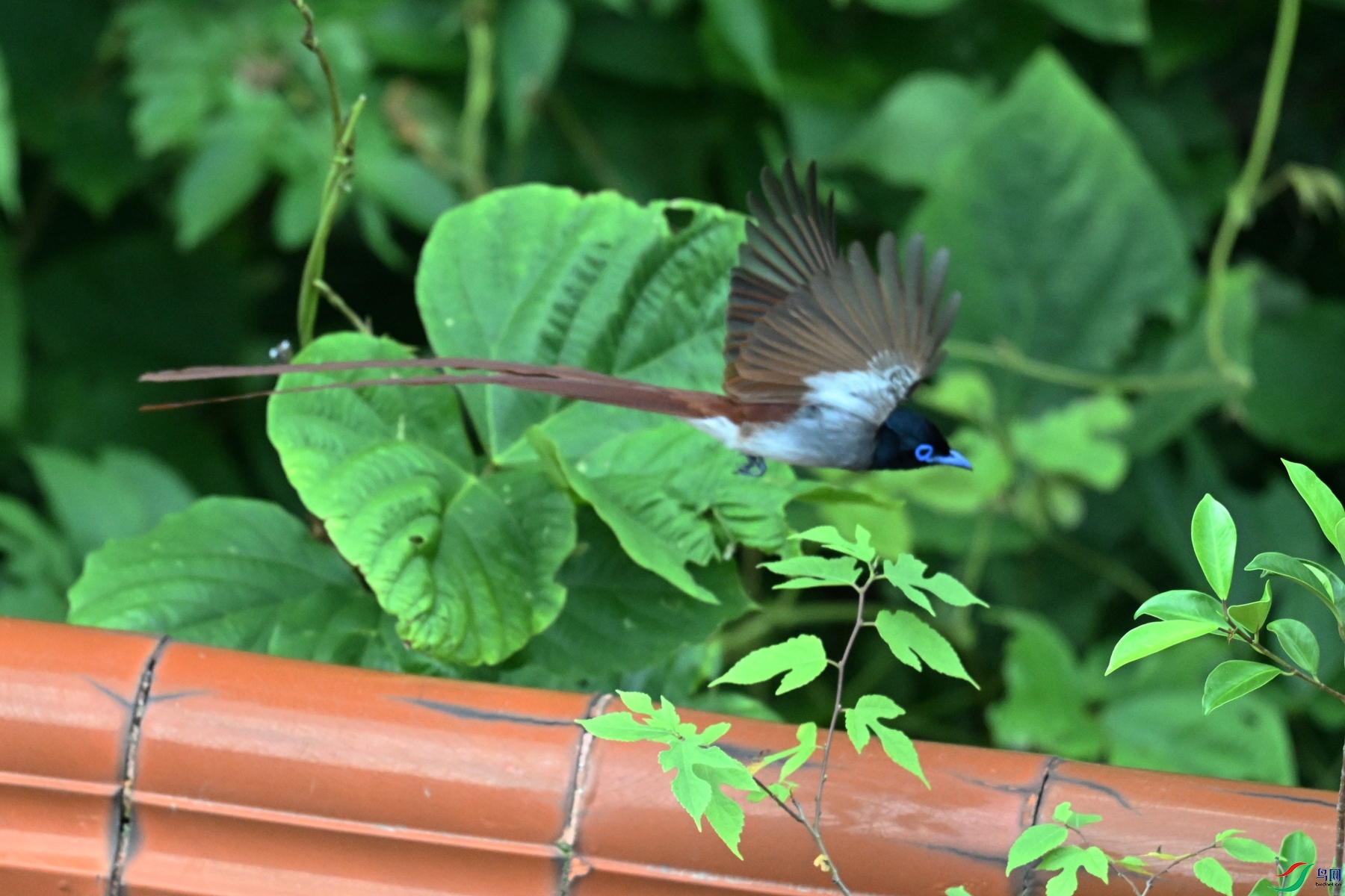DSC_5702.JPG