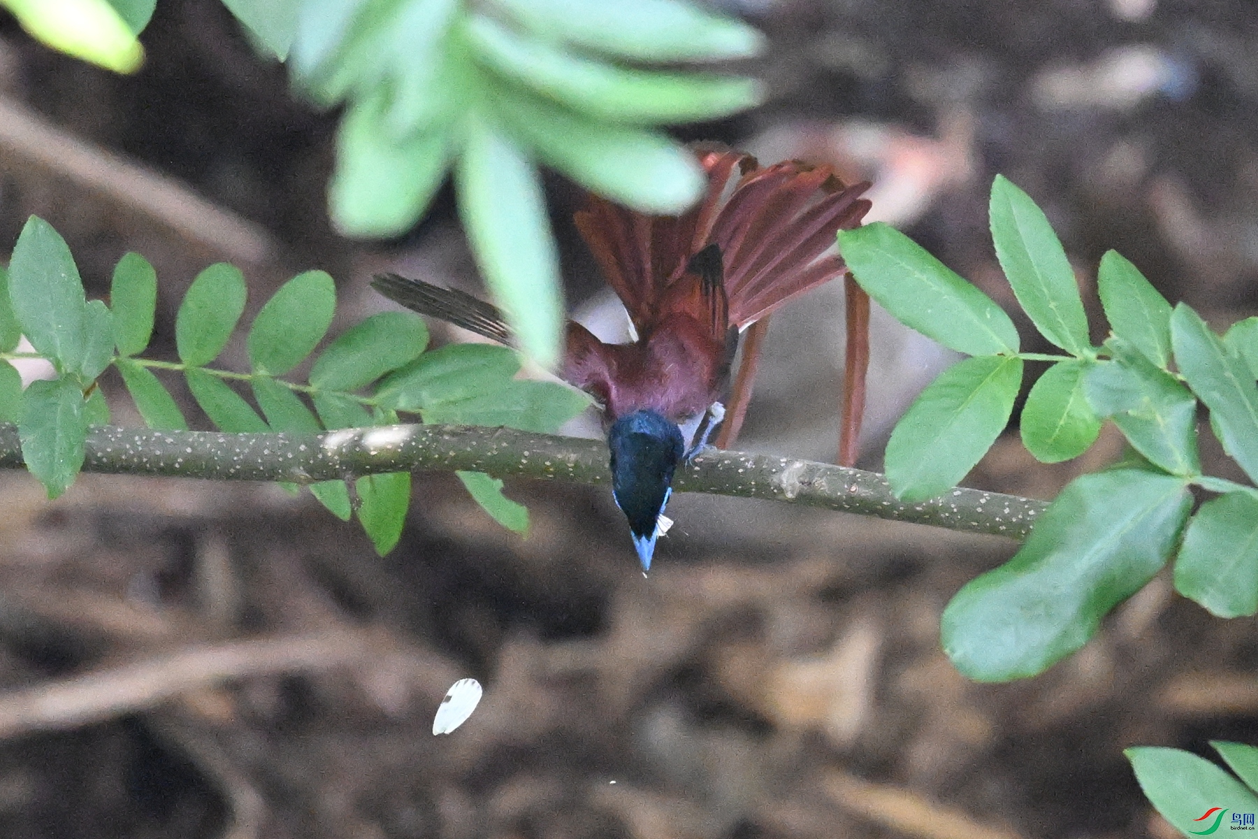 DSC_5716.JPG